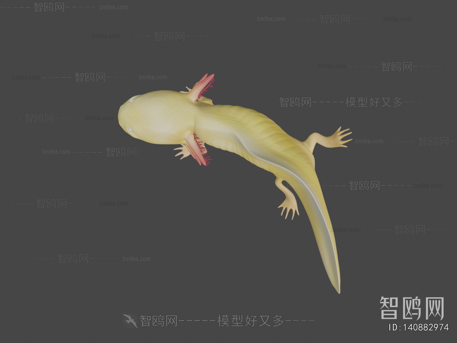 Modern Aquatic Animals
