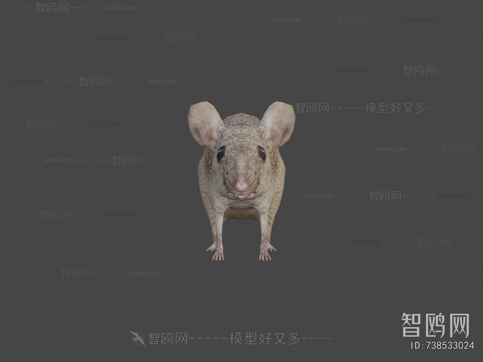 Modern Animal