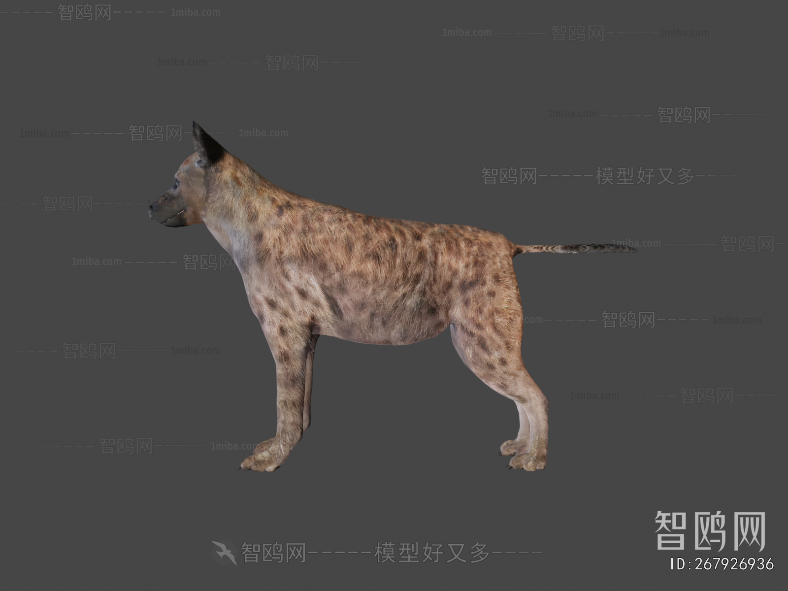 Modern Animal Dog