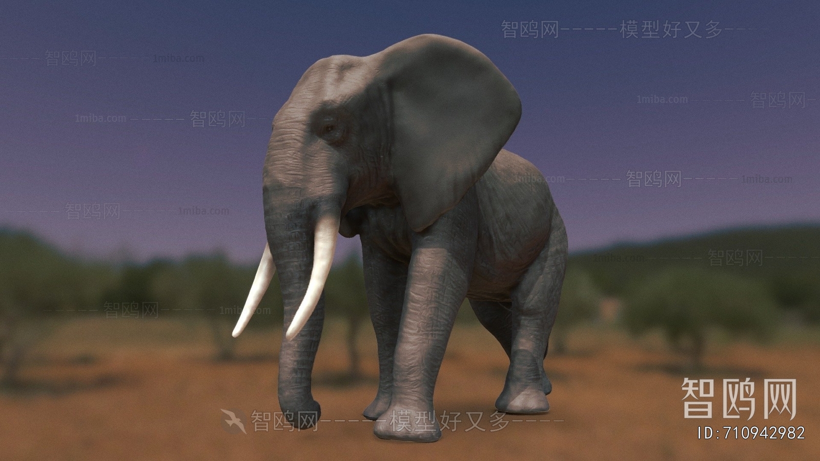 Modern Animal