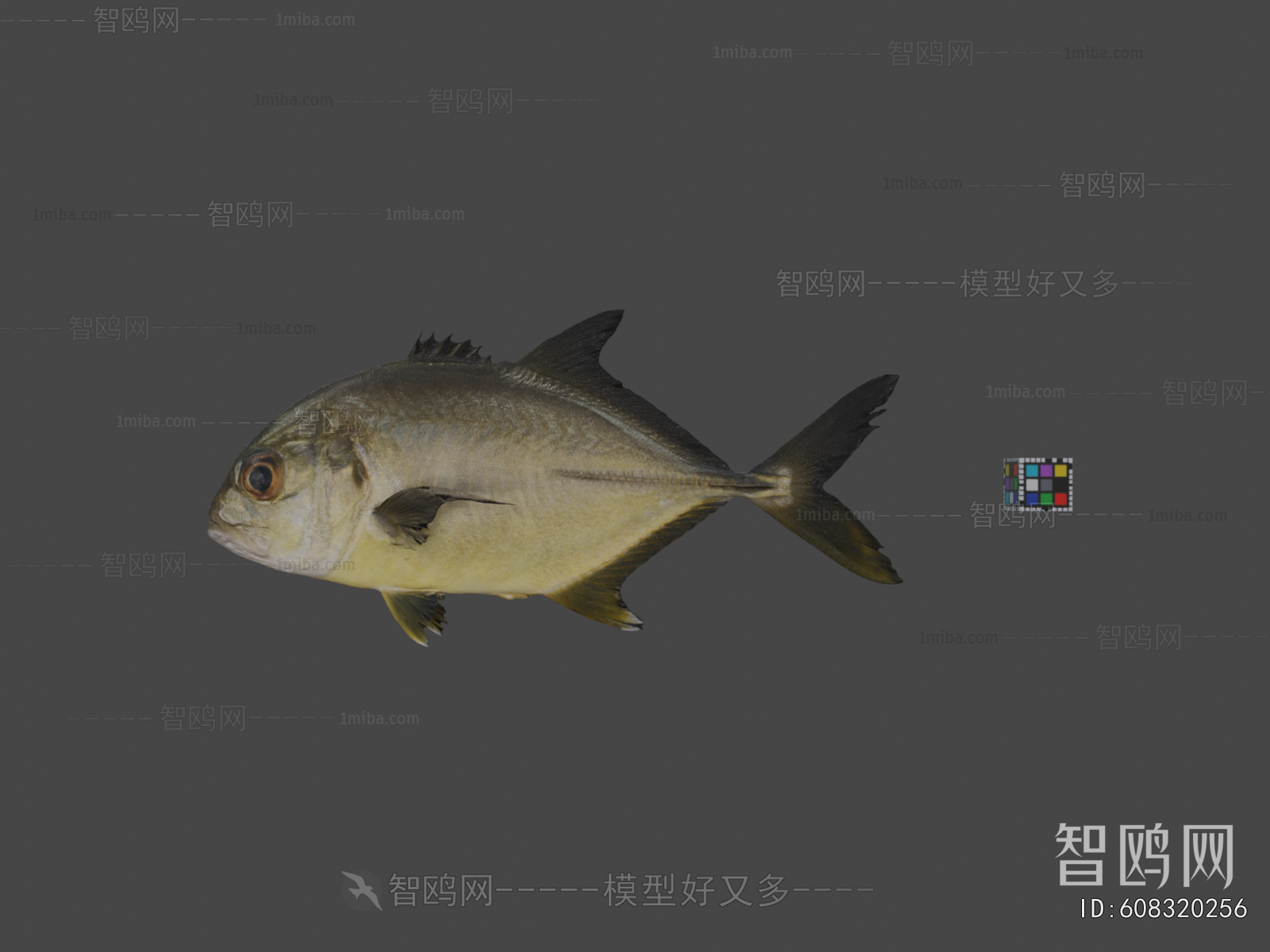 Modern Aquatic Animals