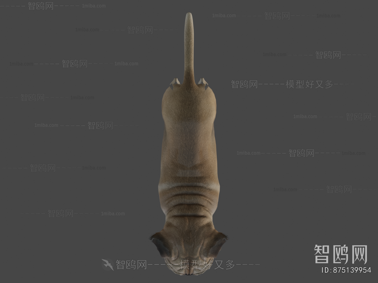 Modern Animal