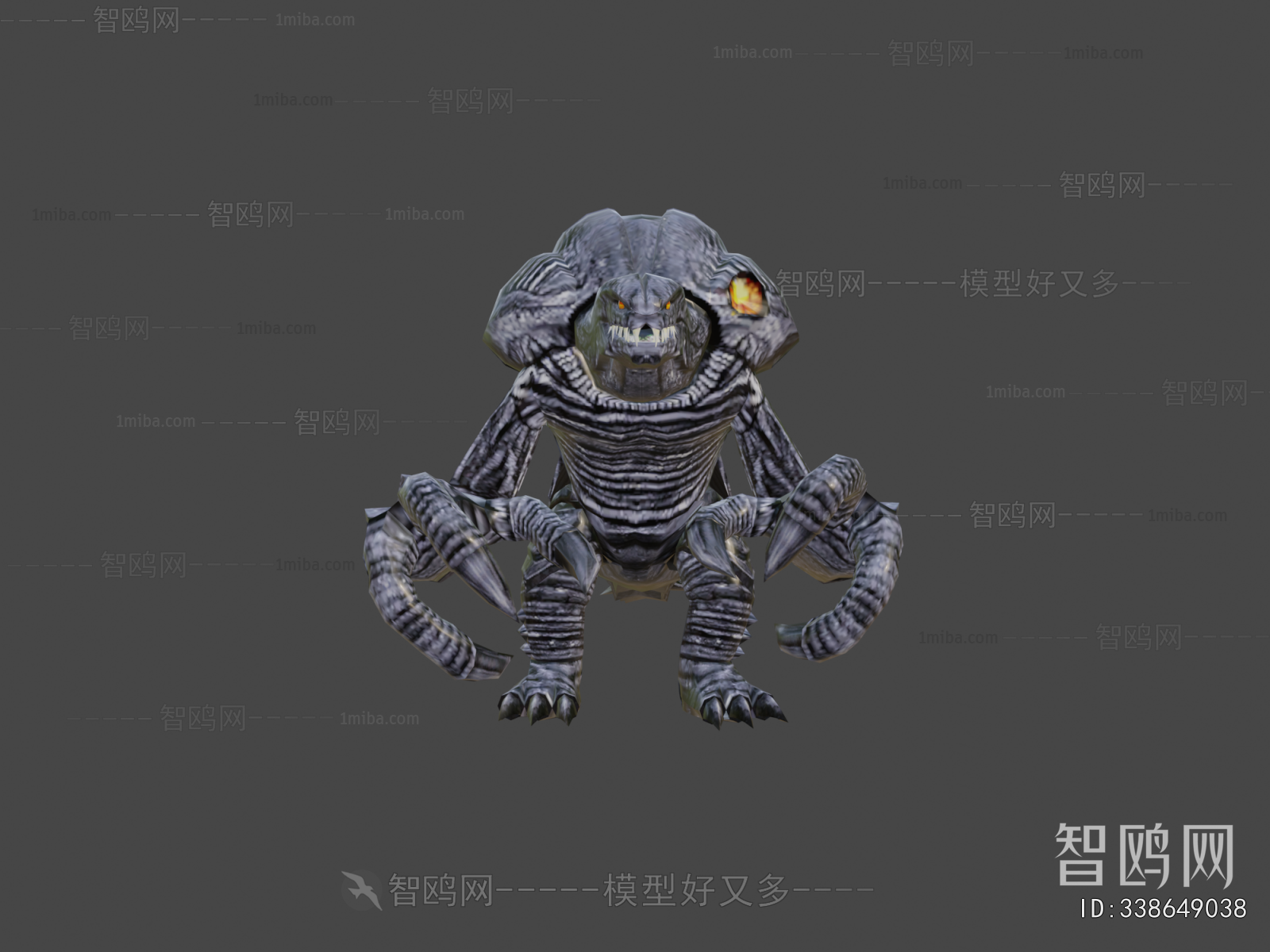 Modern Animal