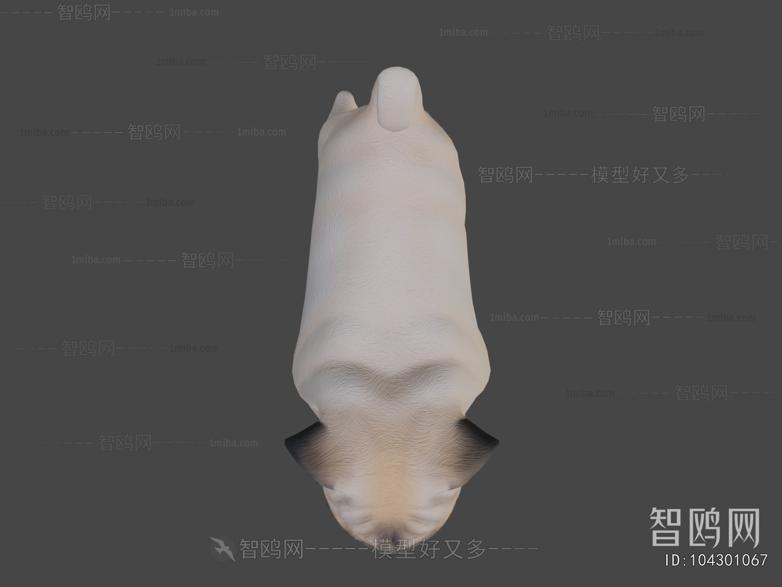 Modern Animal Dog