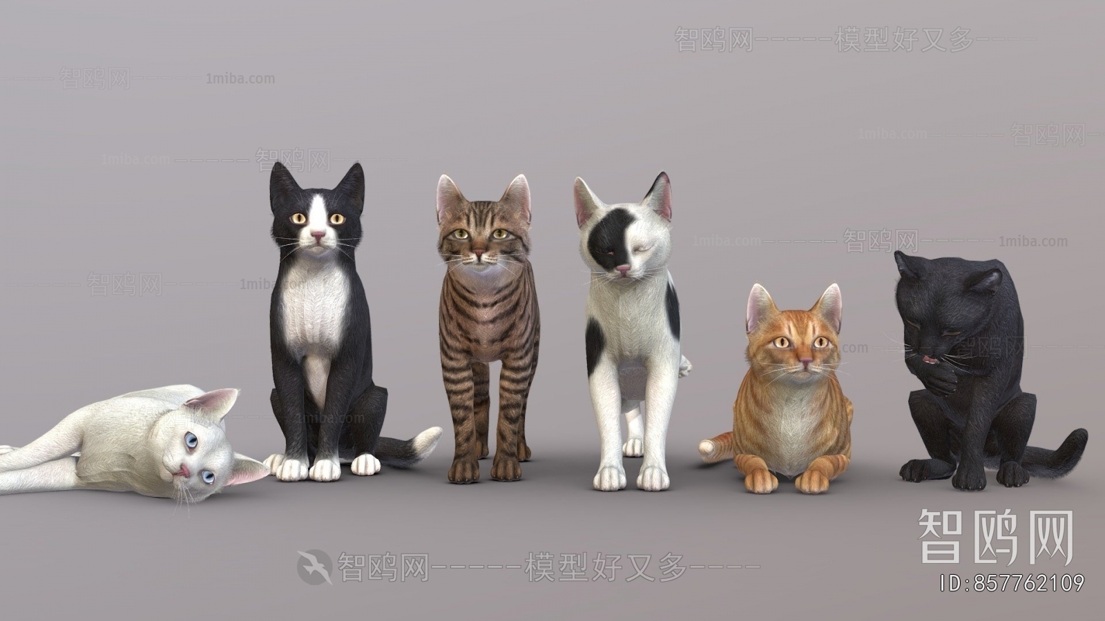 Modern Animal Cat