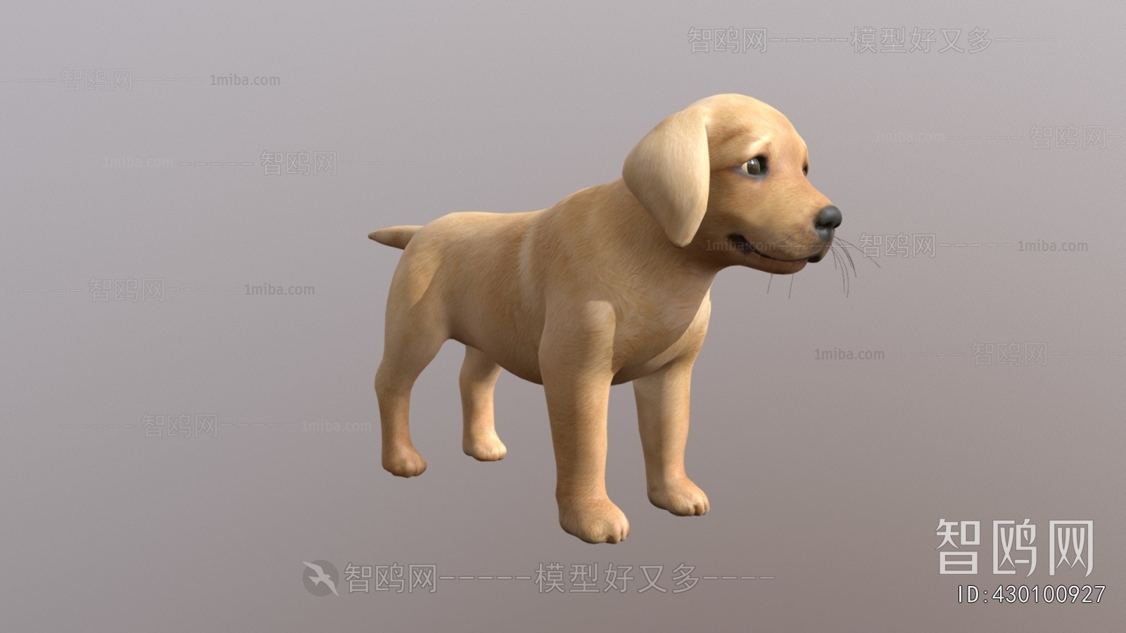 Modern Animal