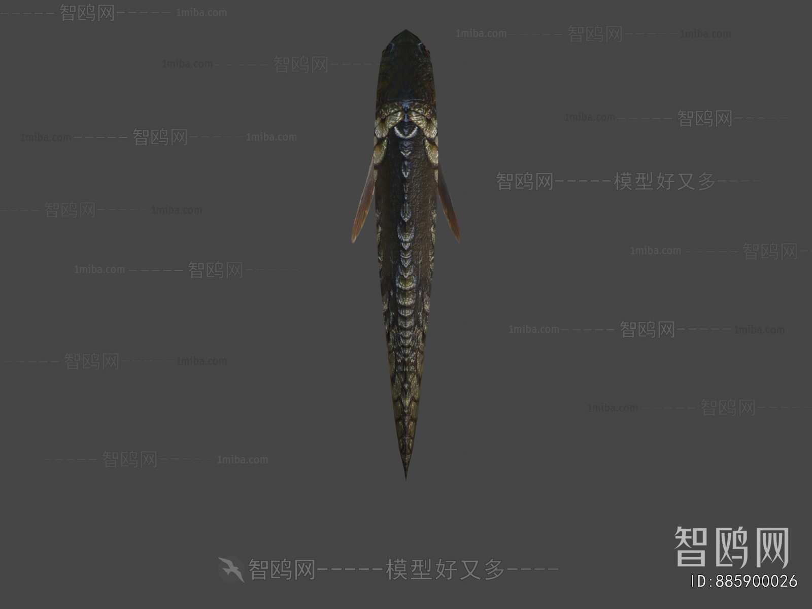 Modern Aquatic Animals