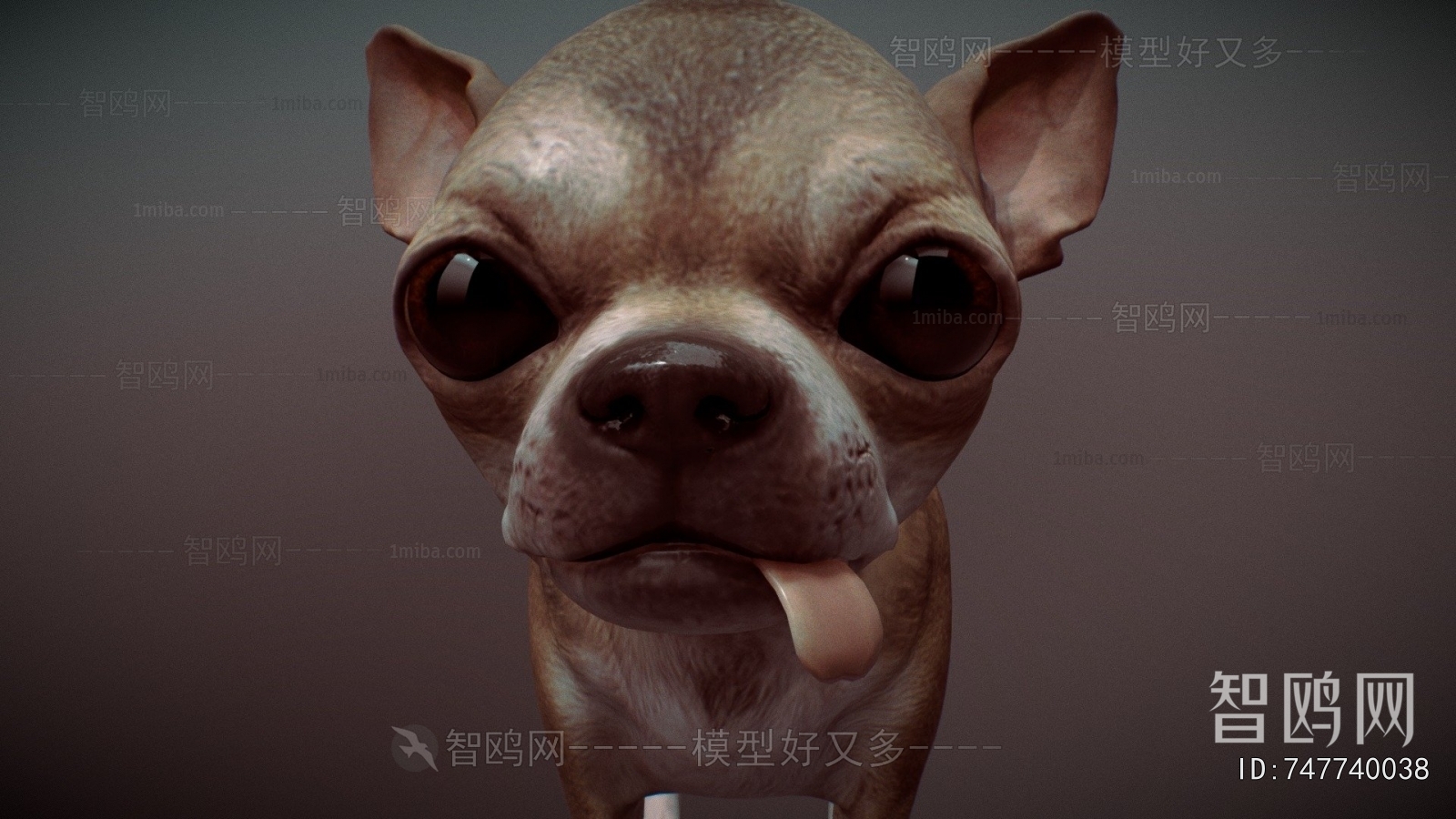 Modern Animal Dog