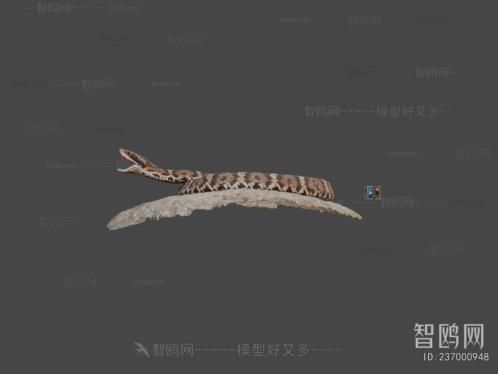 Modern Animal