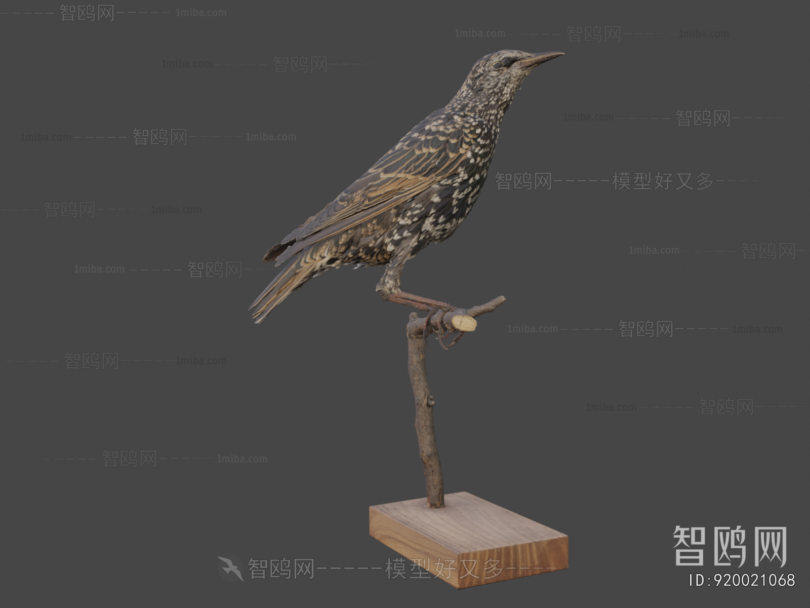 Modern Flying Animals