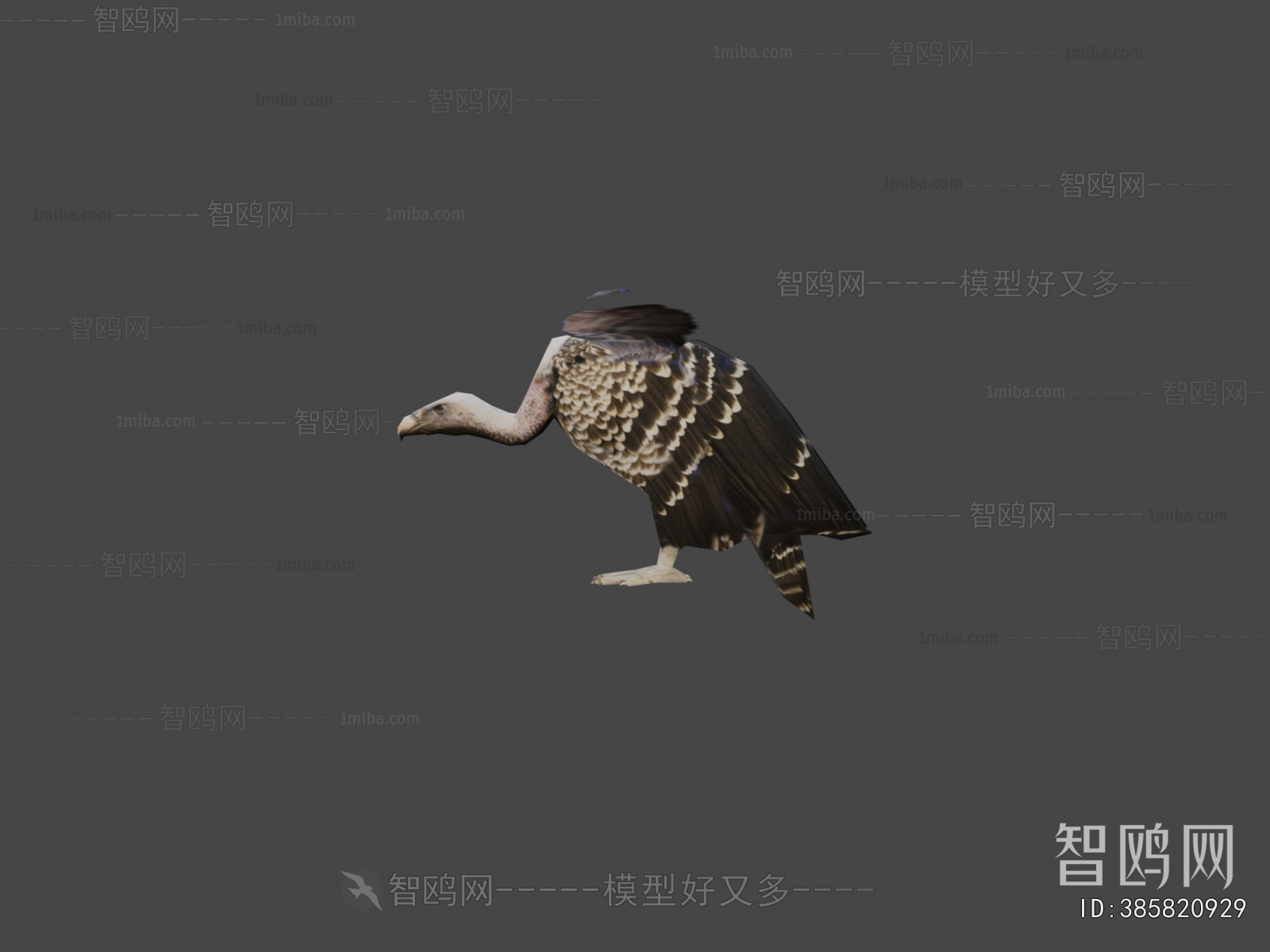 Modern Flying Animals