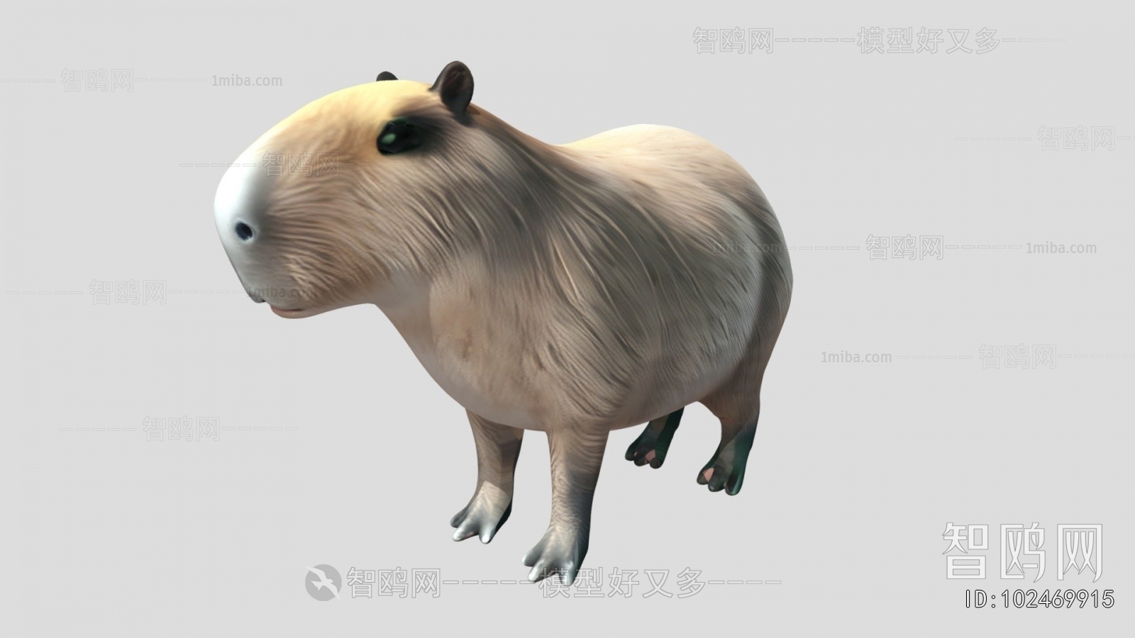 Modern Mammal
