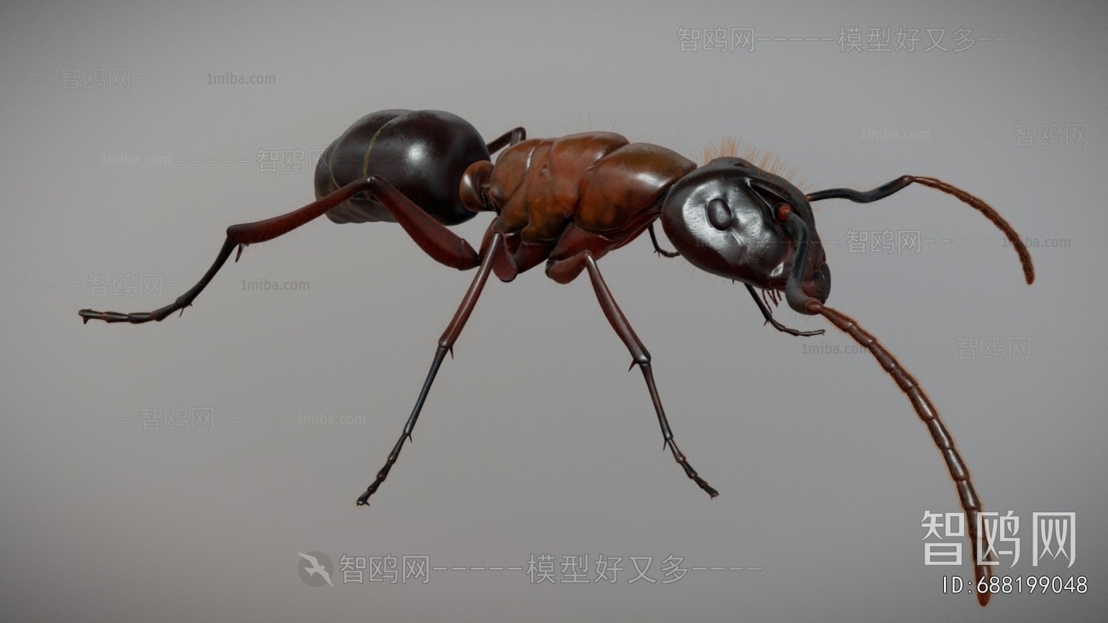 Modern Animal