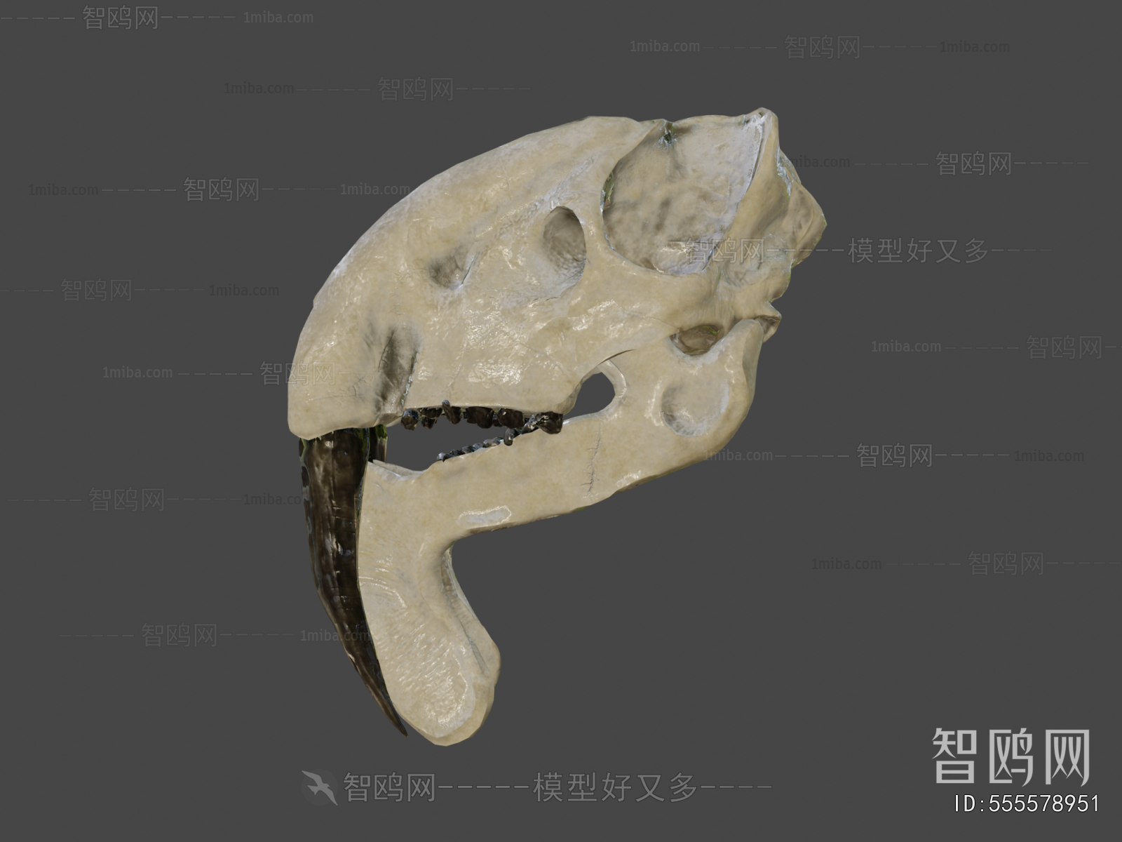 Modern Medical Equipment