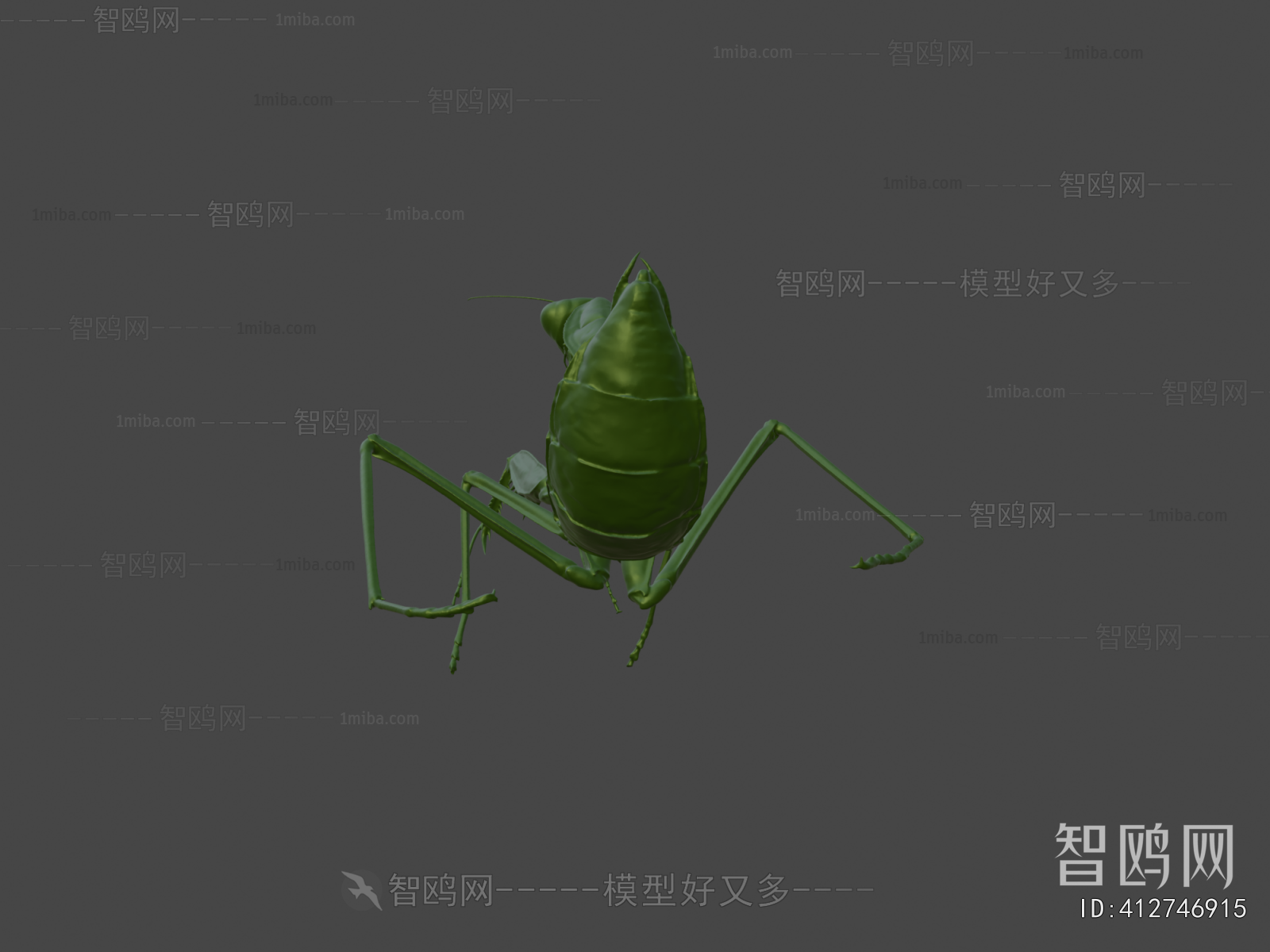 Modern Other Animals