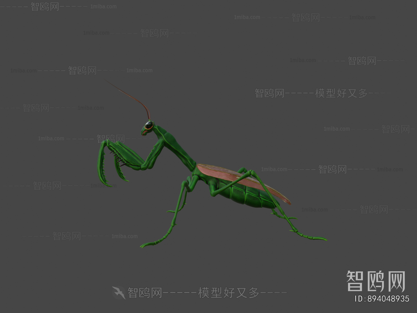 Modern Animal