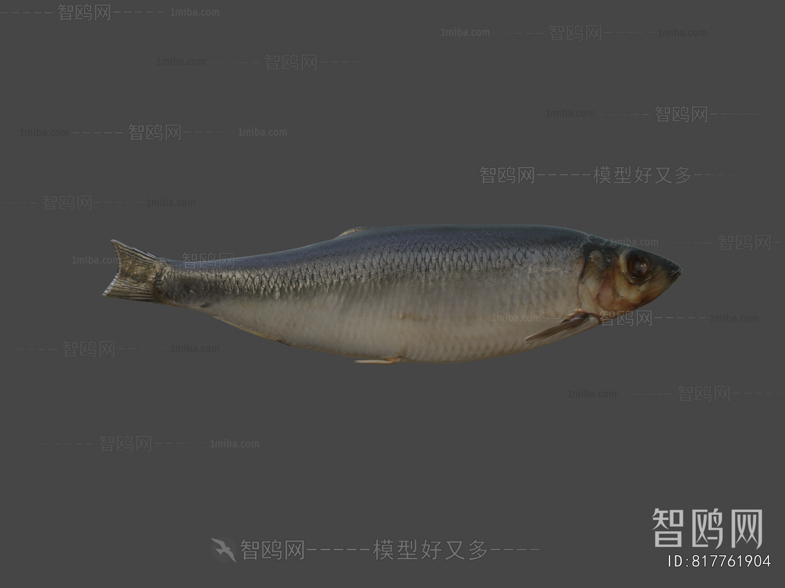 Modern Aquatic Product