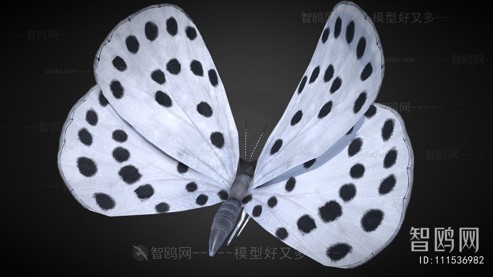 Modern Other Animals