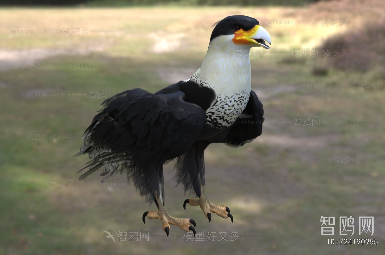 Modern Flying Animals