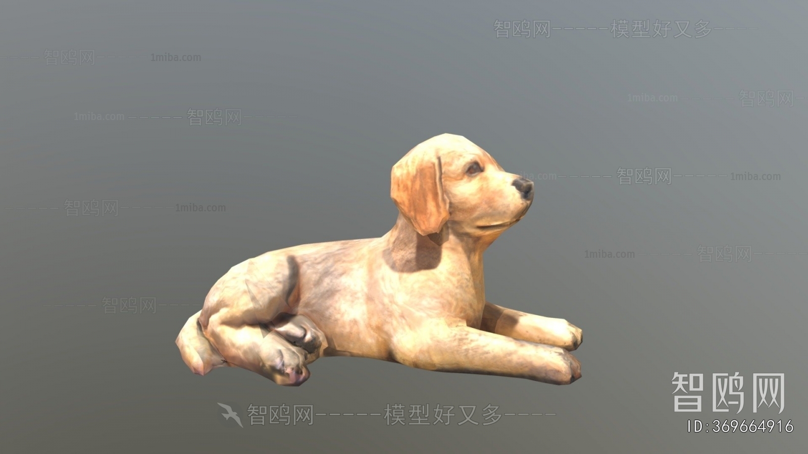 Modern Animal
