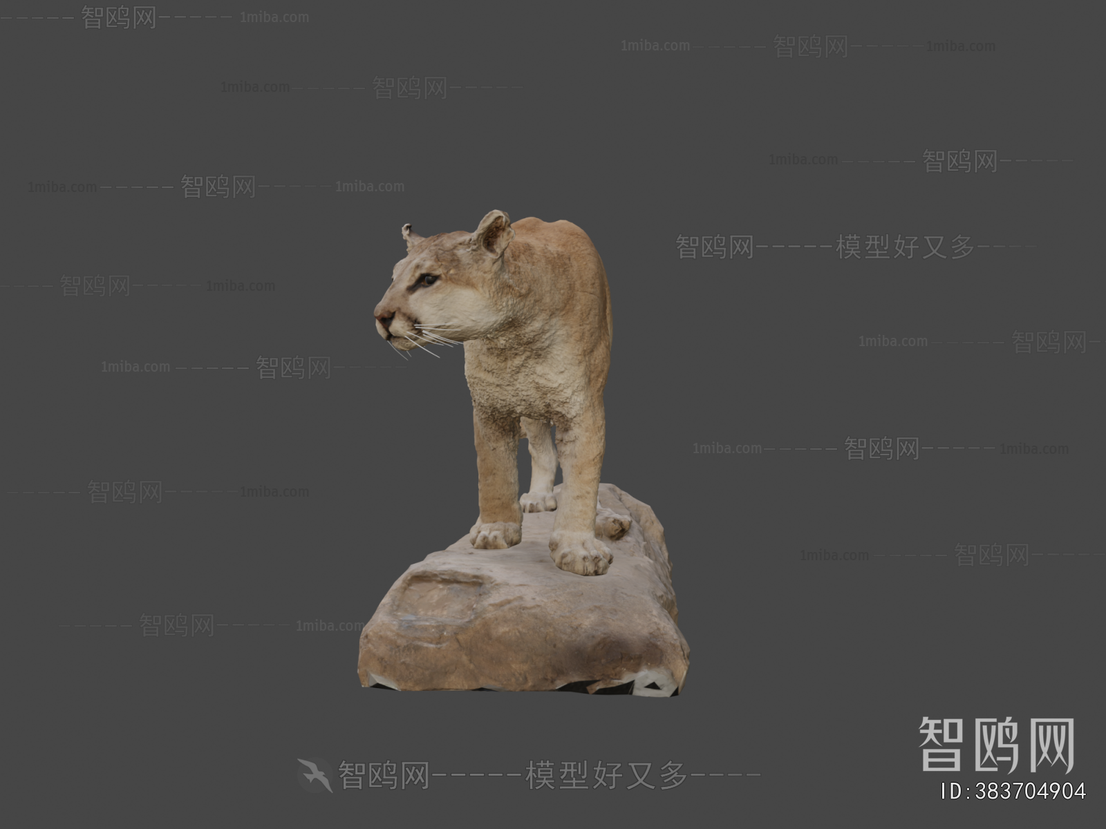 Modern Animal