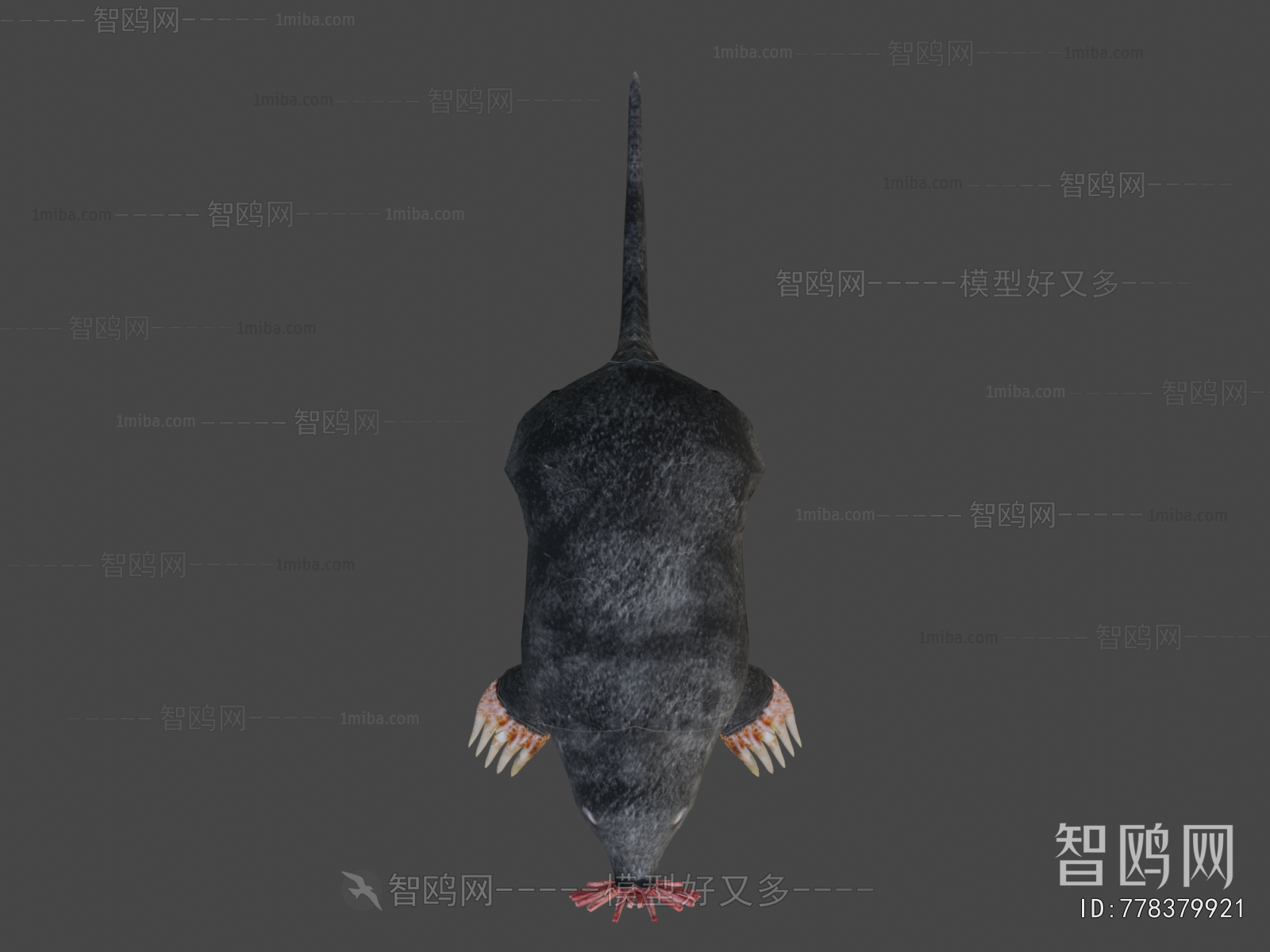 Modern Animal