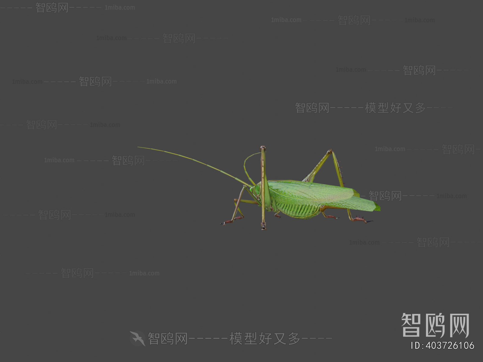 Modern Other Animals
