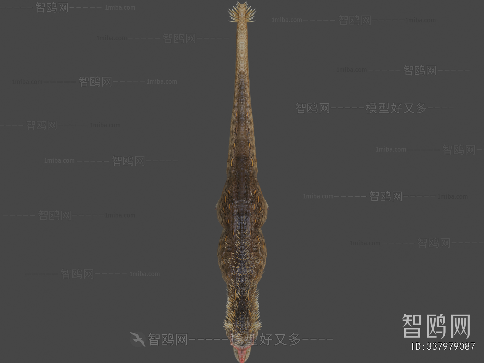Modern Animal