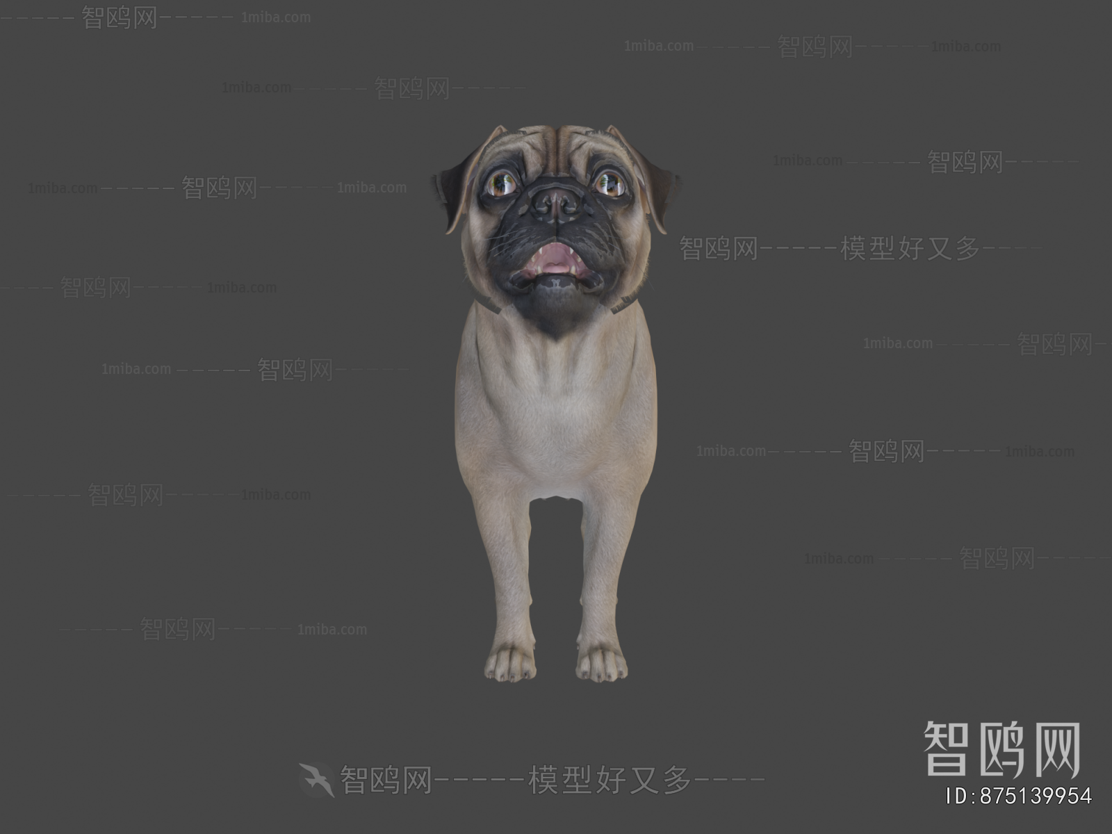 Modern Animal
