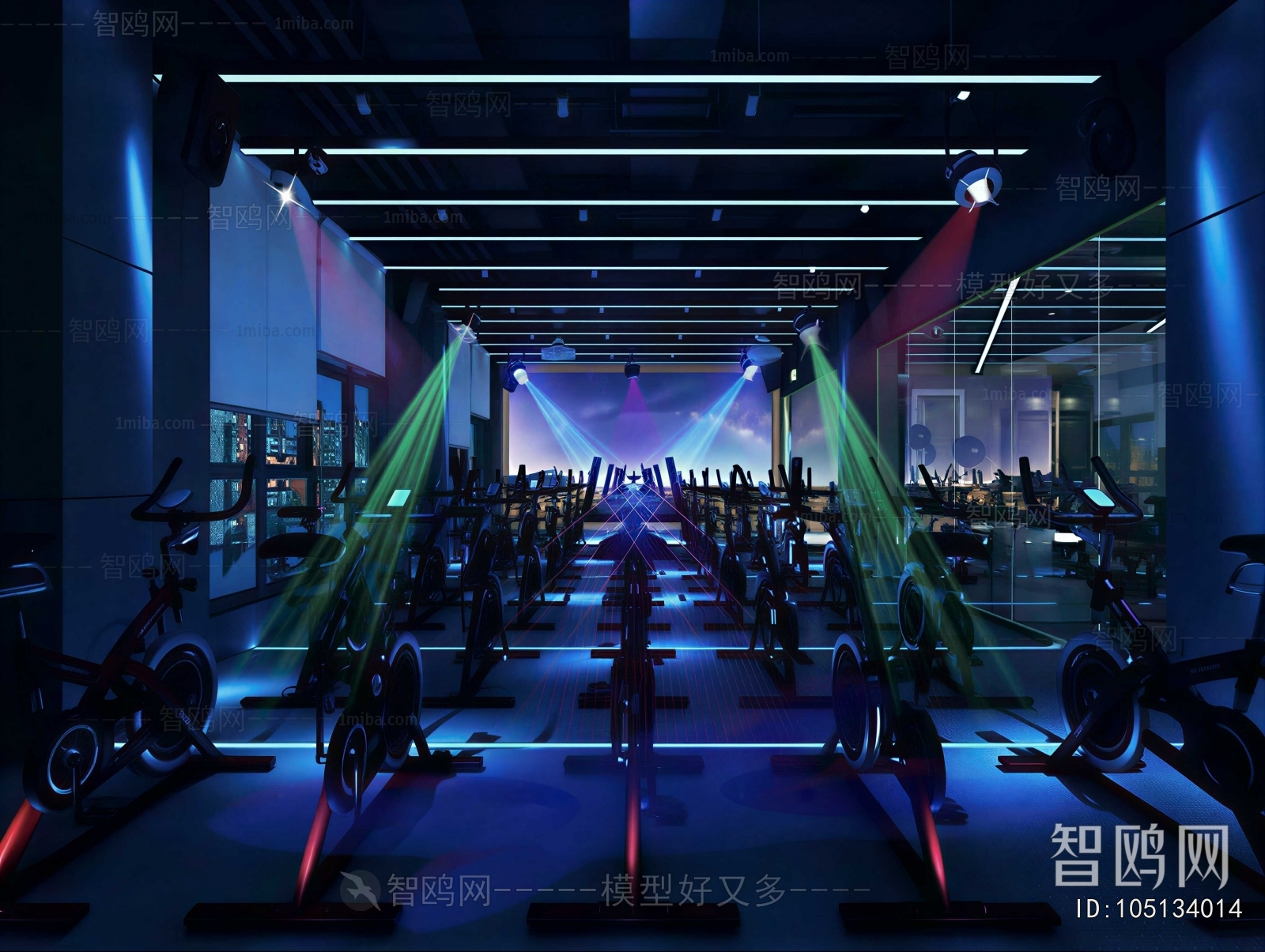 Modern Gym