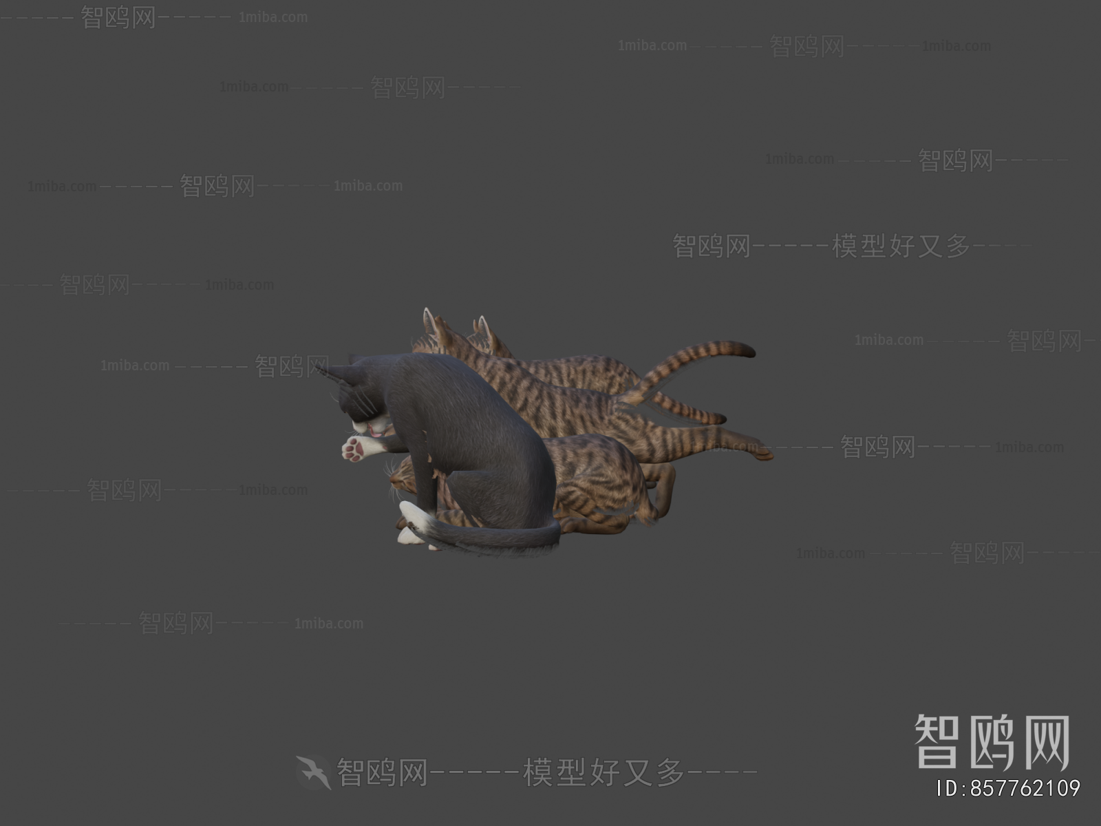 Modern Animal Cat