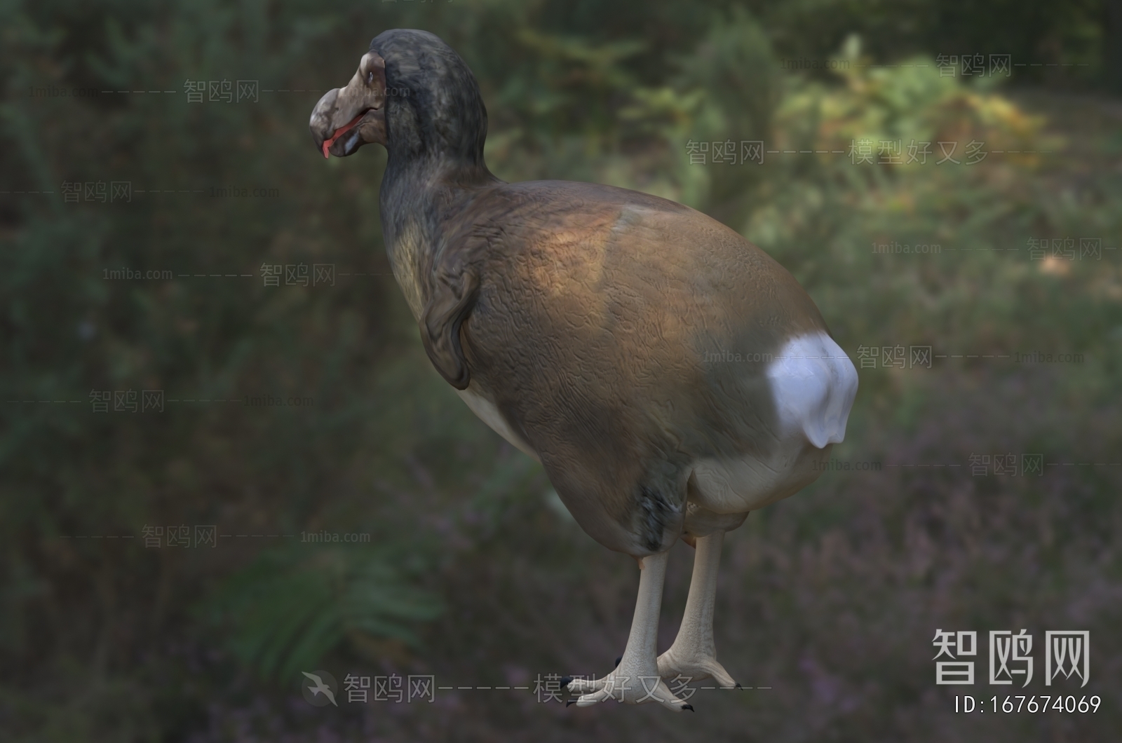 Modern Poultry Animal