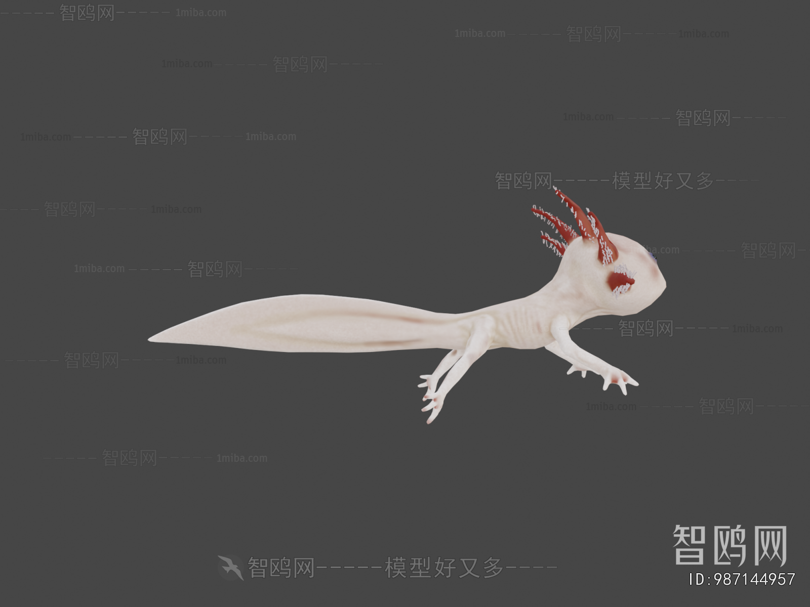 Modern Aquatic Animals