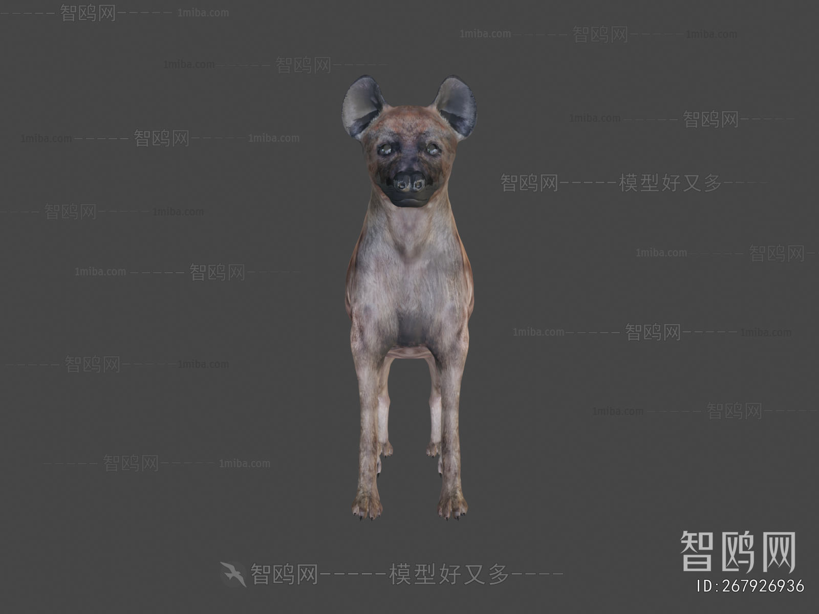 Modern Animal Dog