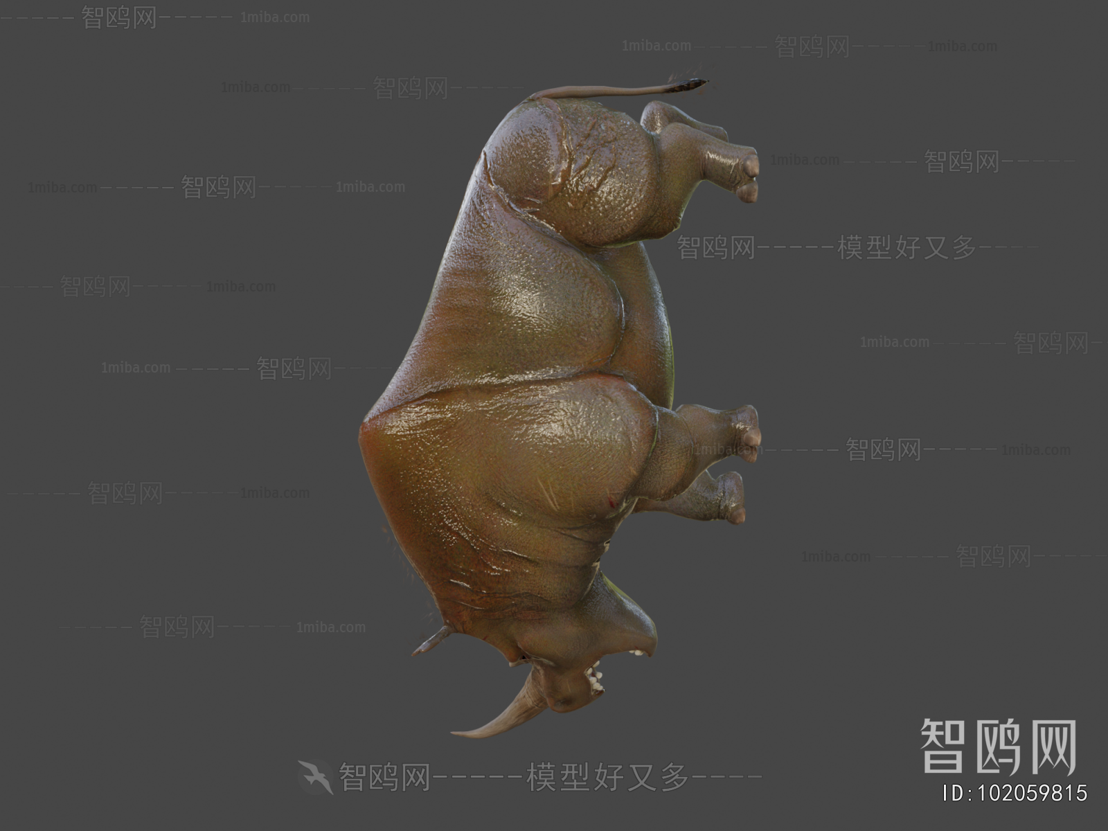 Modern Animal