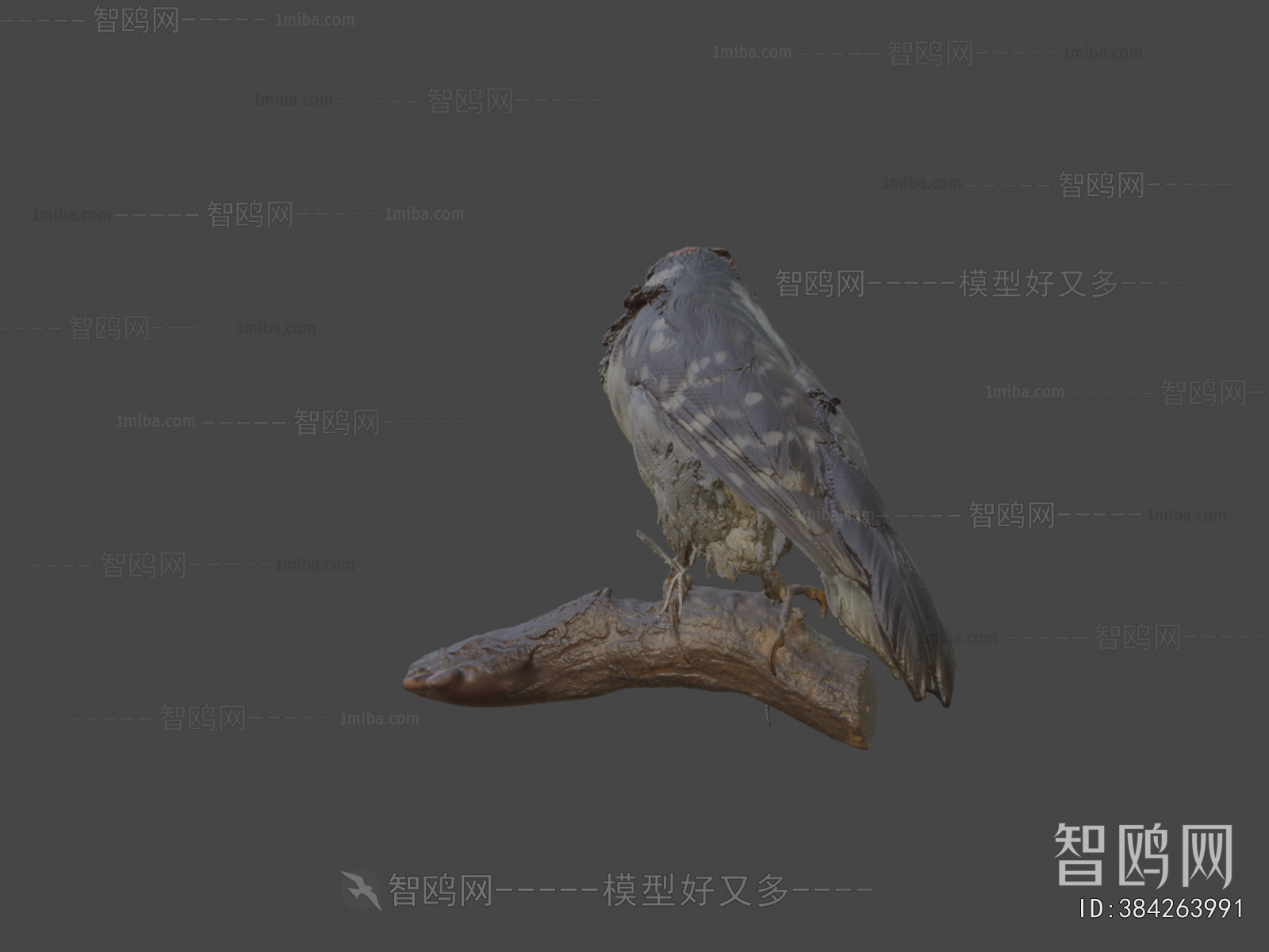 Modern Flying Animals
