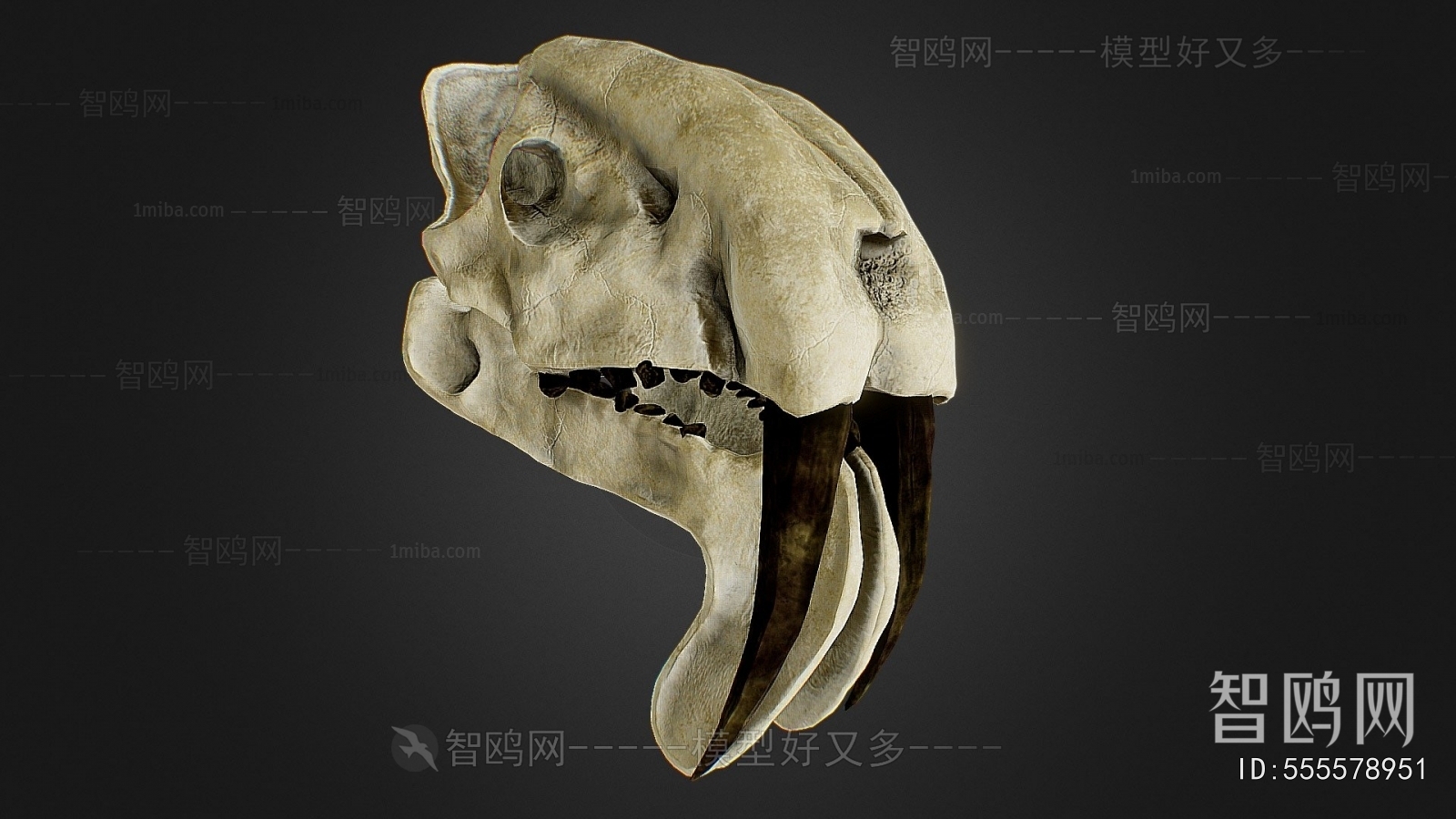 Modern Medical Equipment