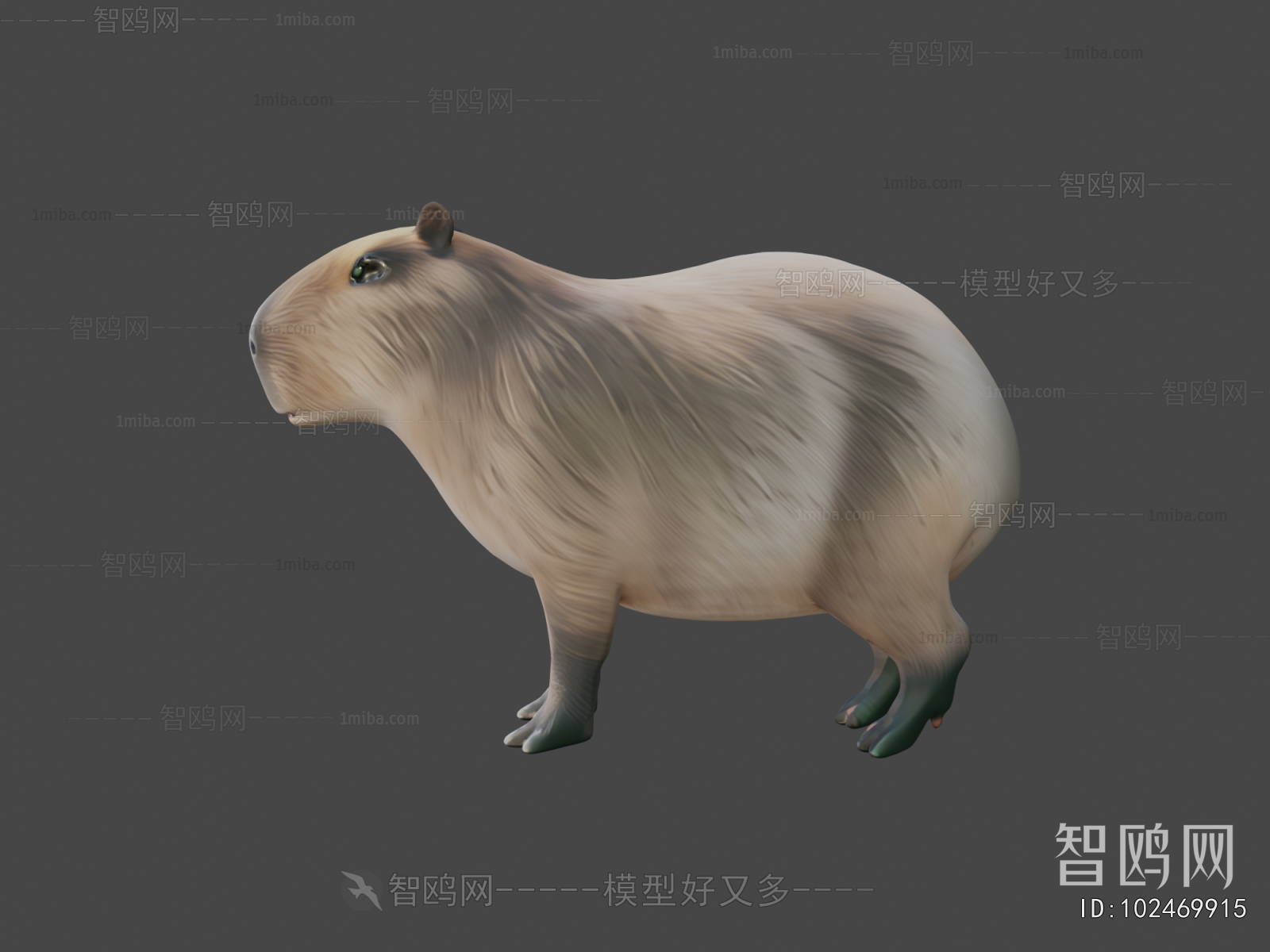 Modern Mammal