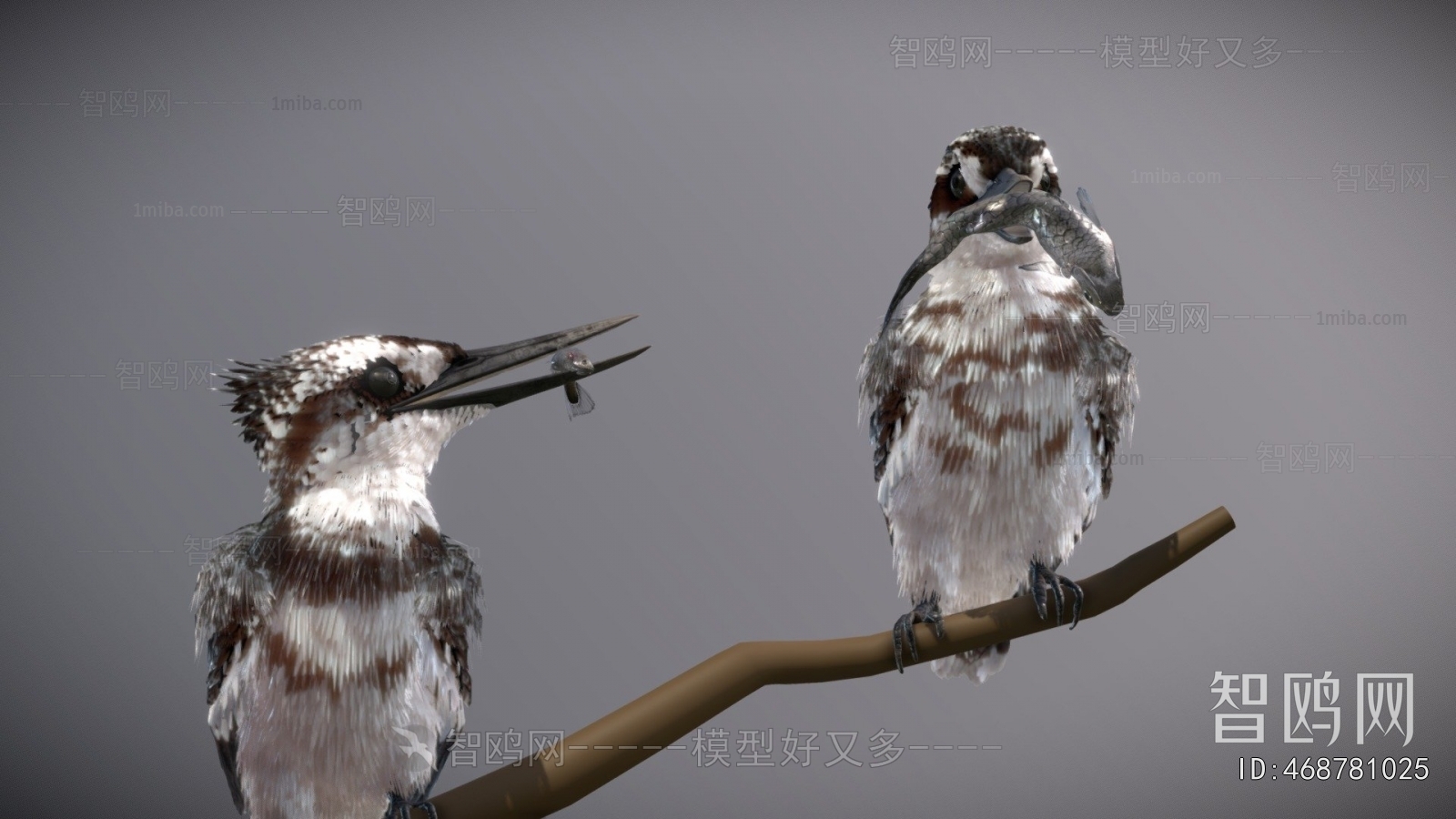 Modern Flying Animals