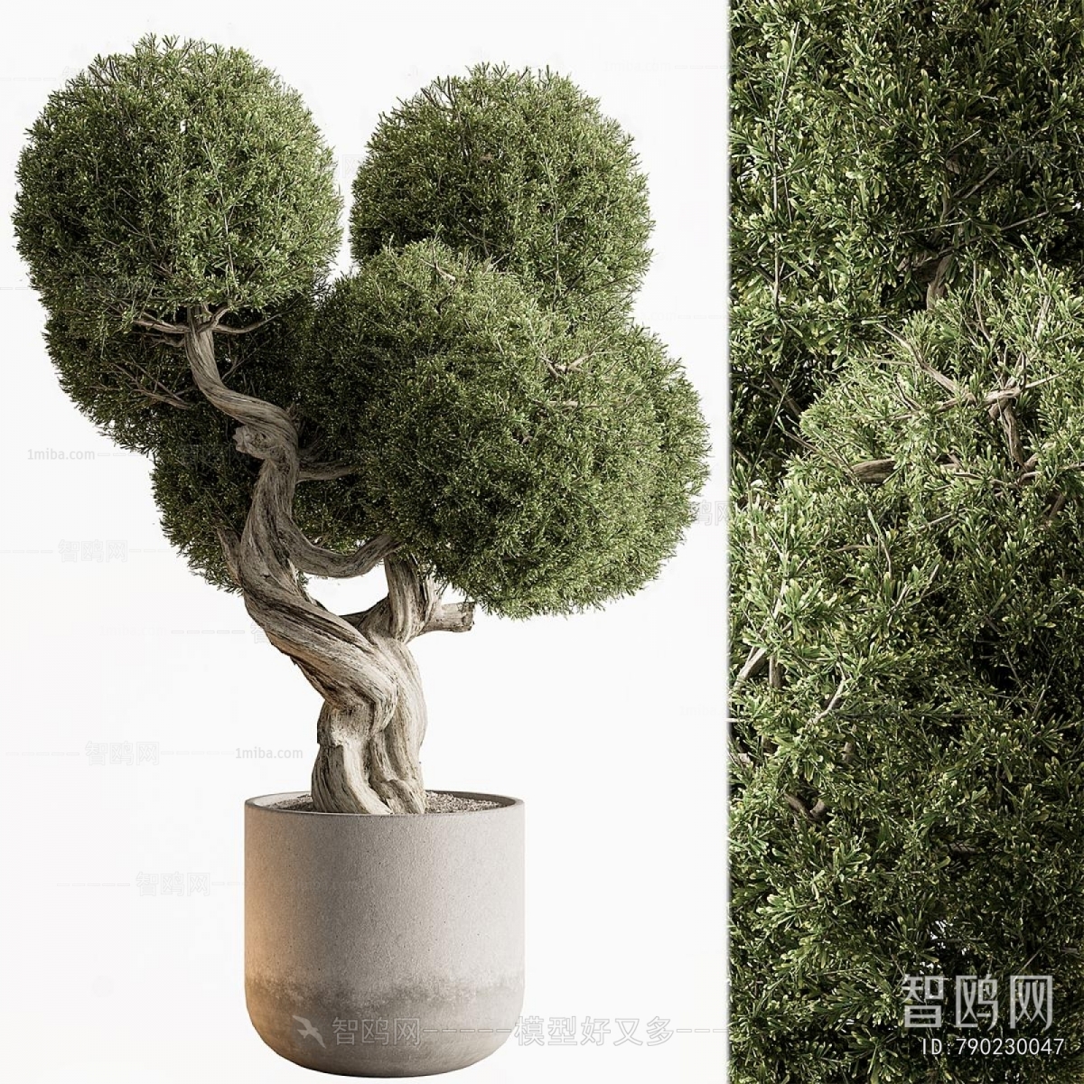 Modern Ground Green Plant Potted Plants