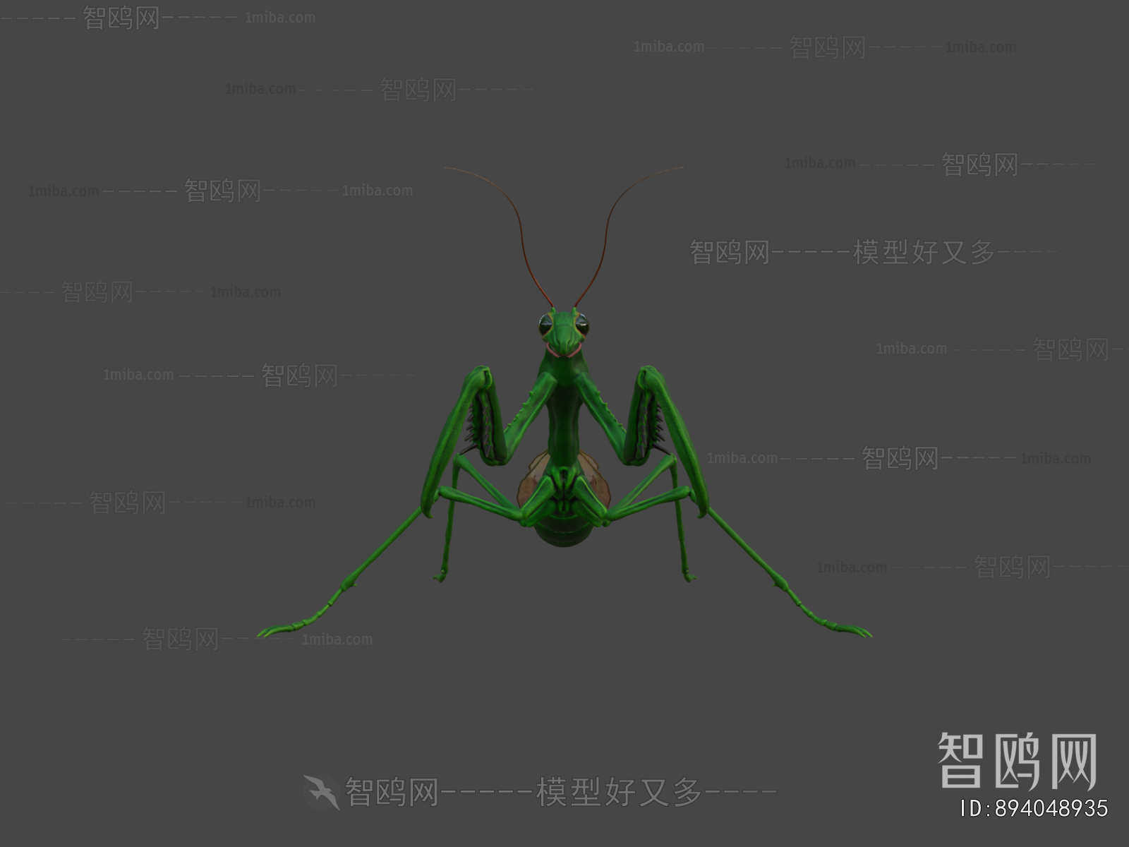 Modern Animal