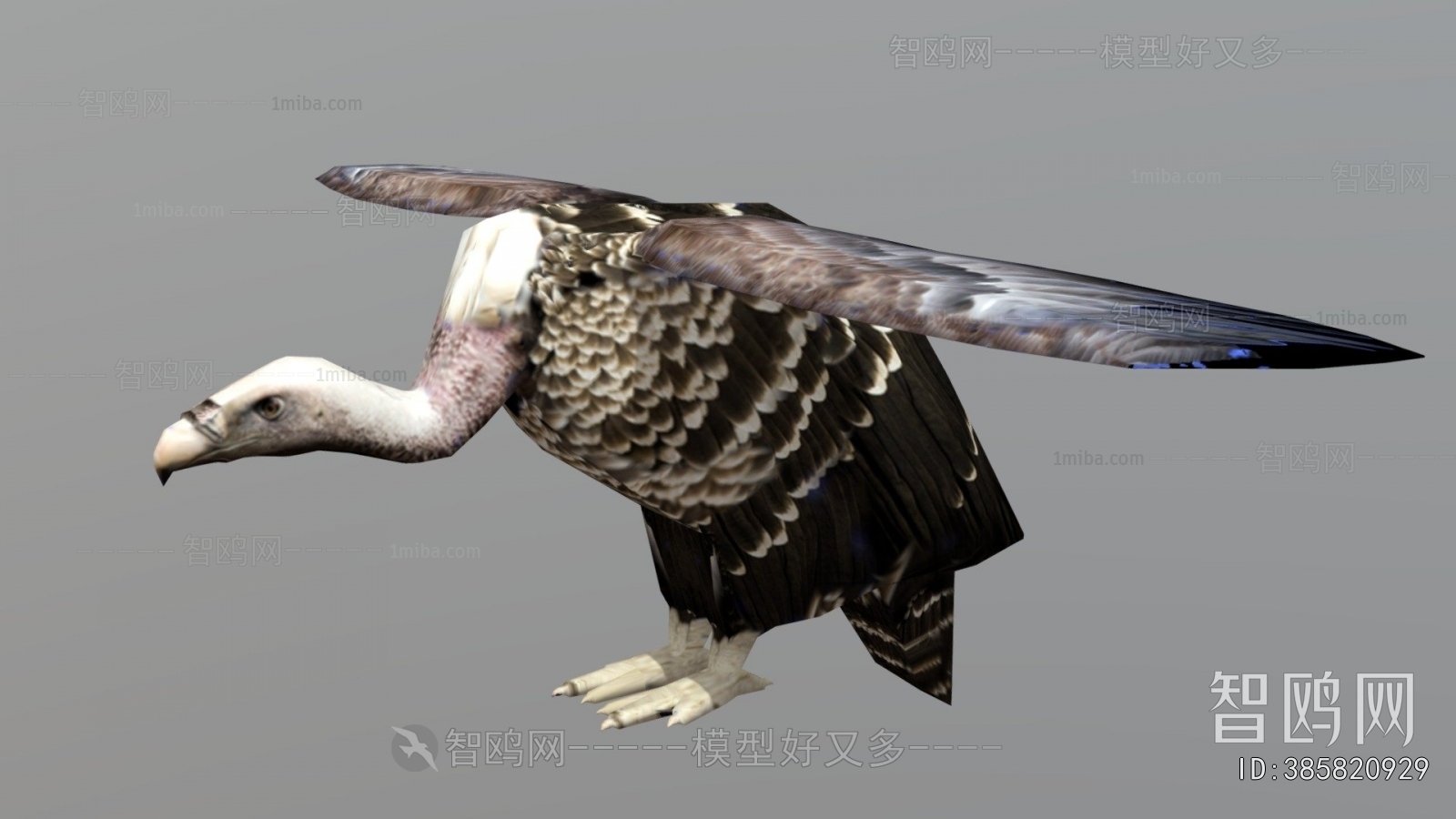 Modern Flying Animals
