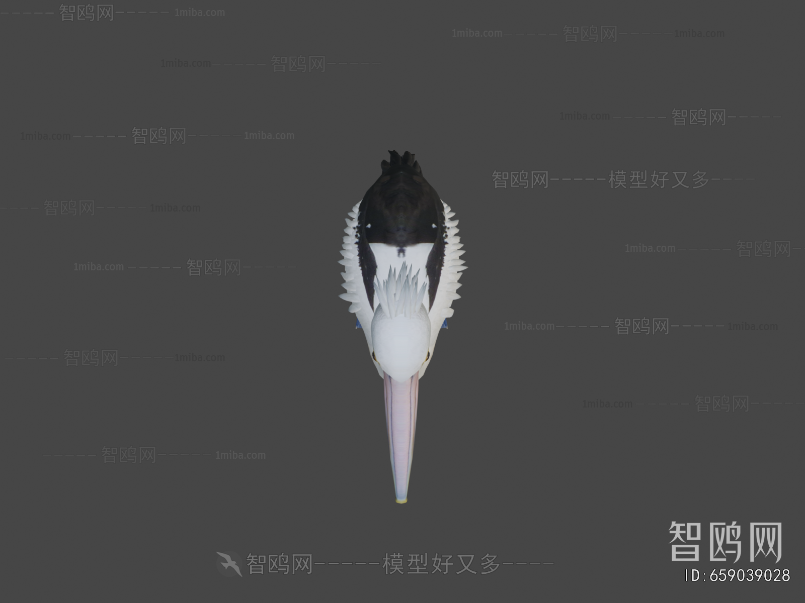 Modern Flying Animals