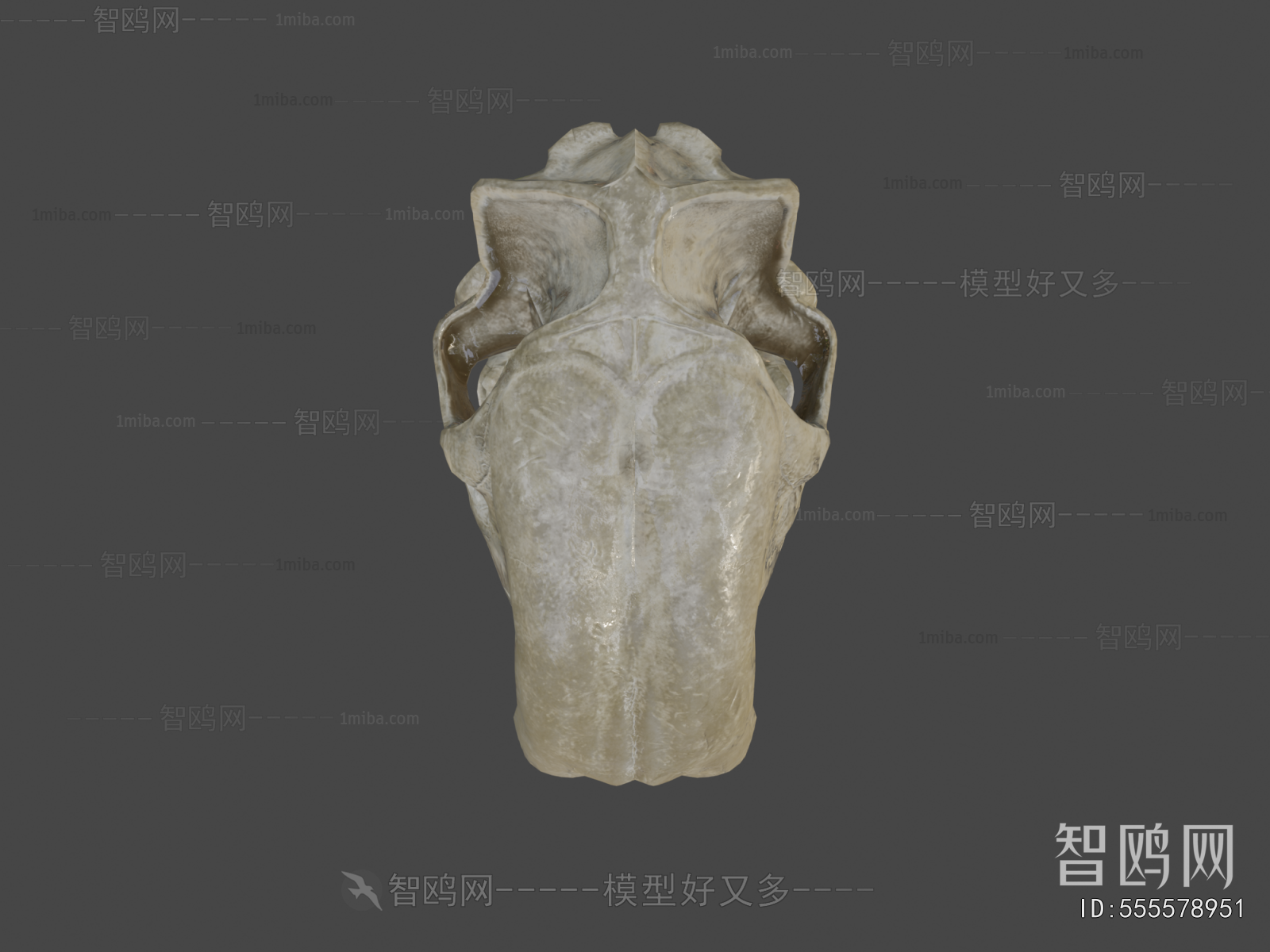 Modern Medical Equipment