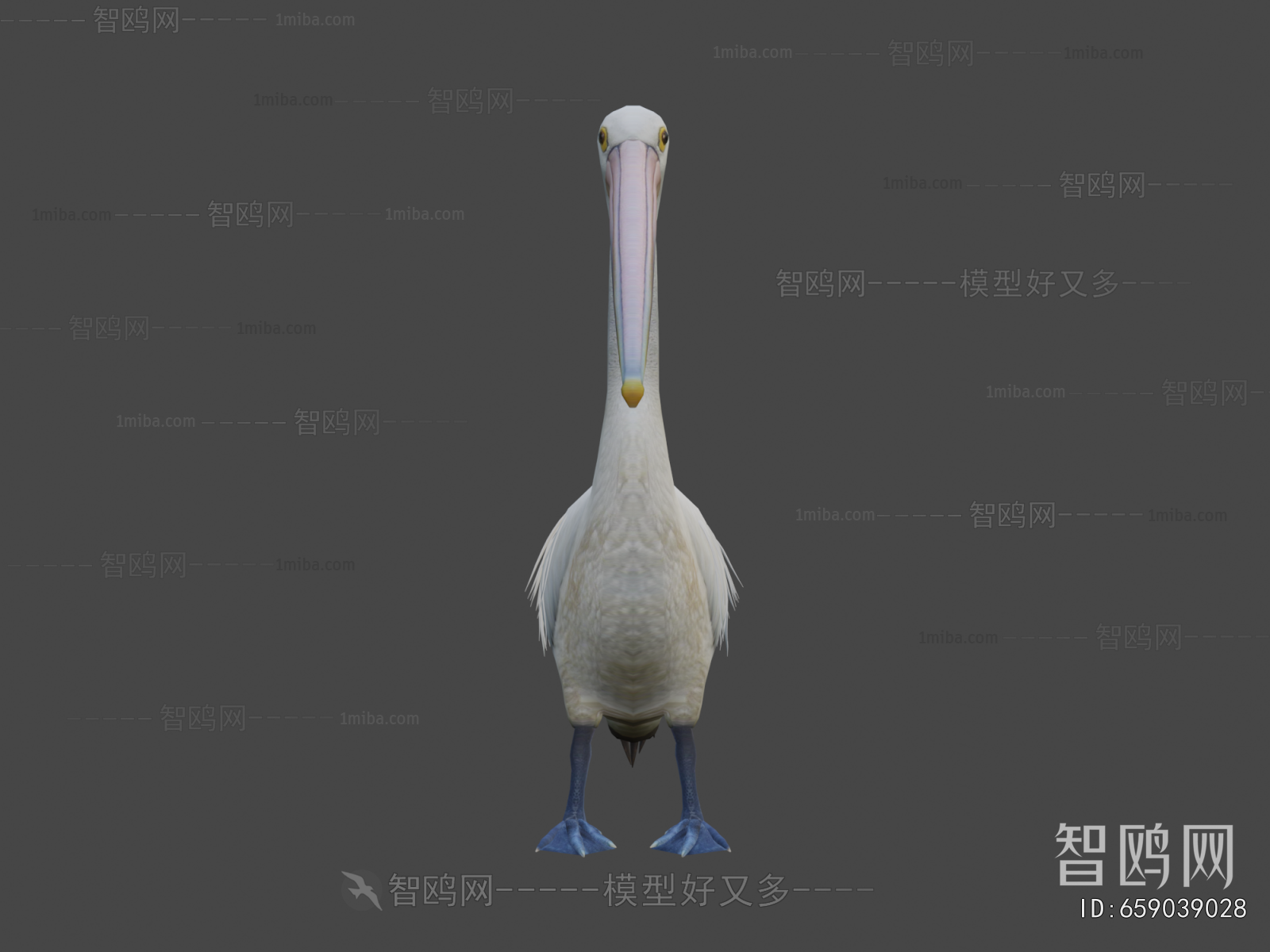 Modern Flying Animals