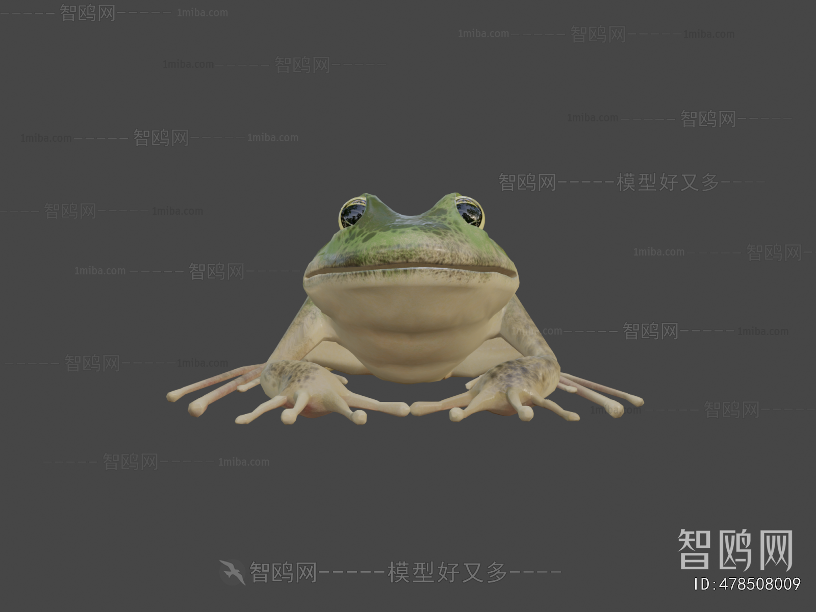 Modern Aquatic Animals