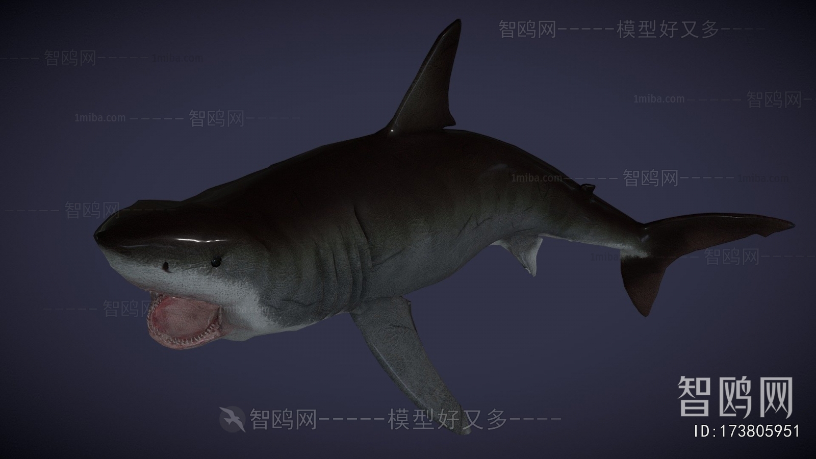 Modern Aquatic Animals