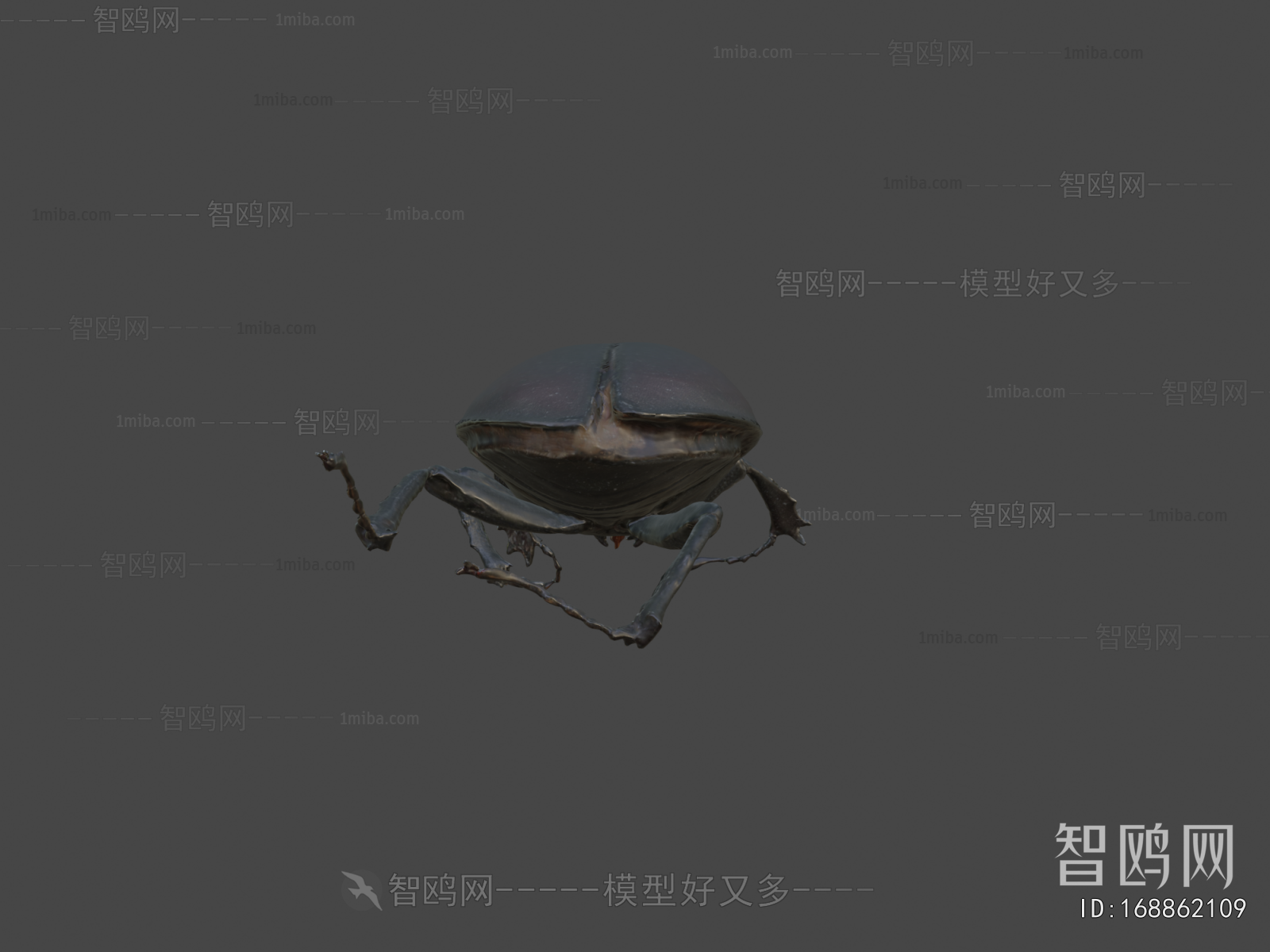 Modern Animal
