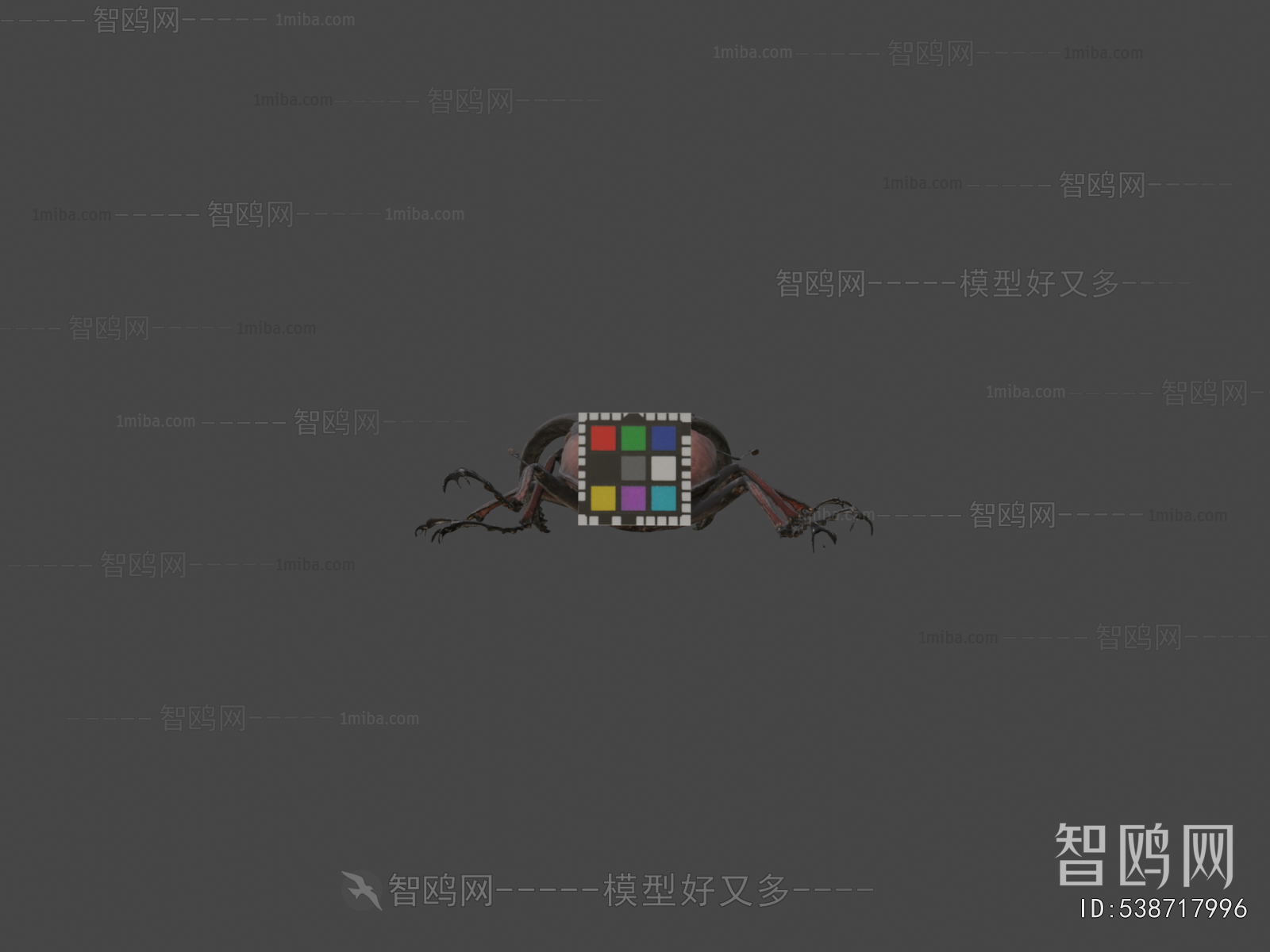 Modern Animal
