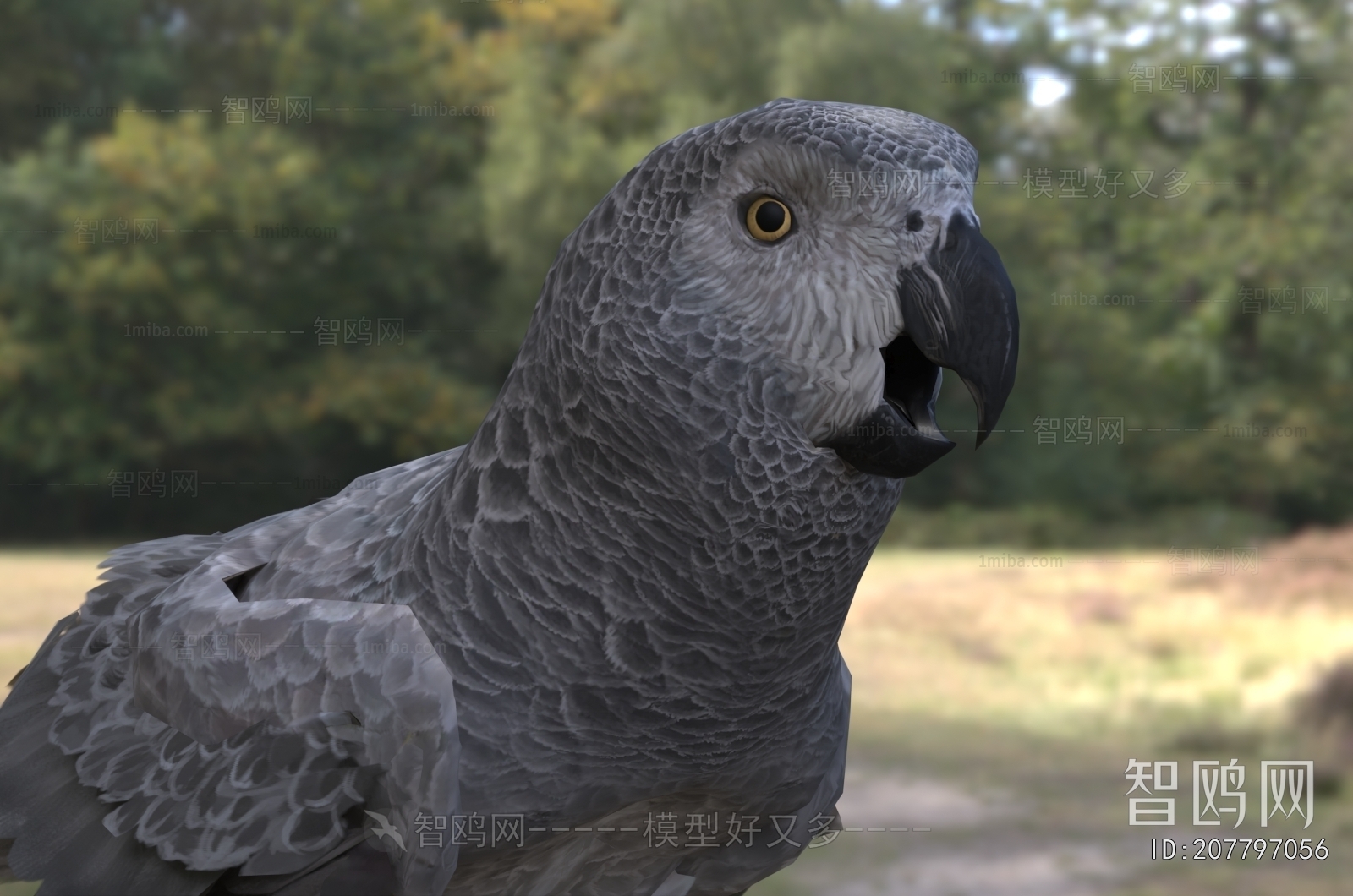 Modern Flying Animals